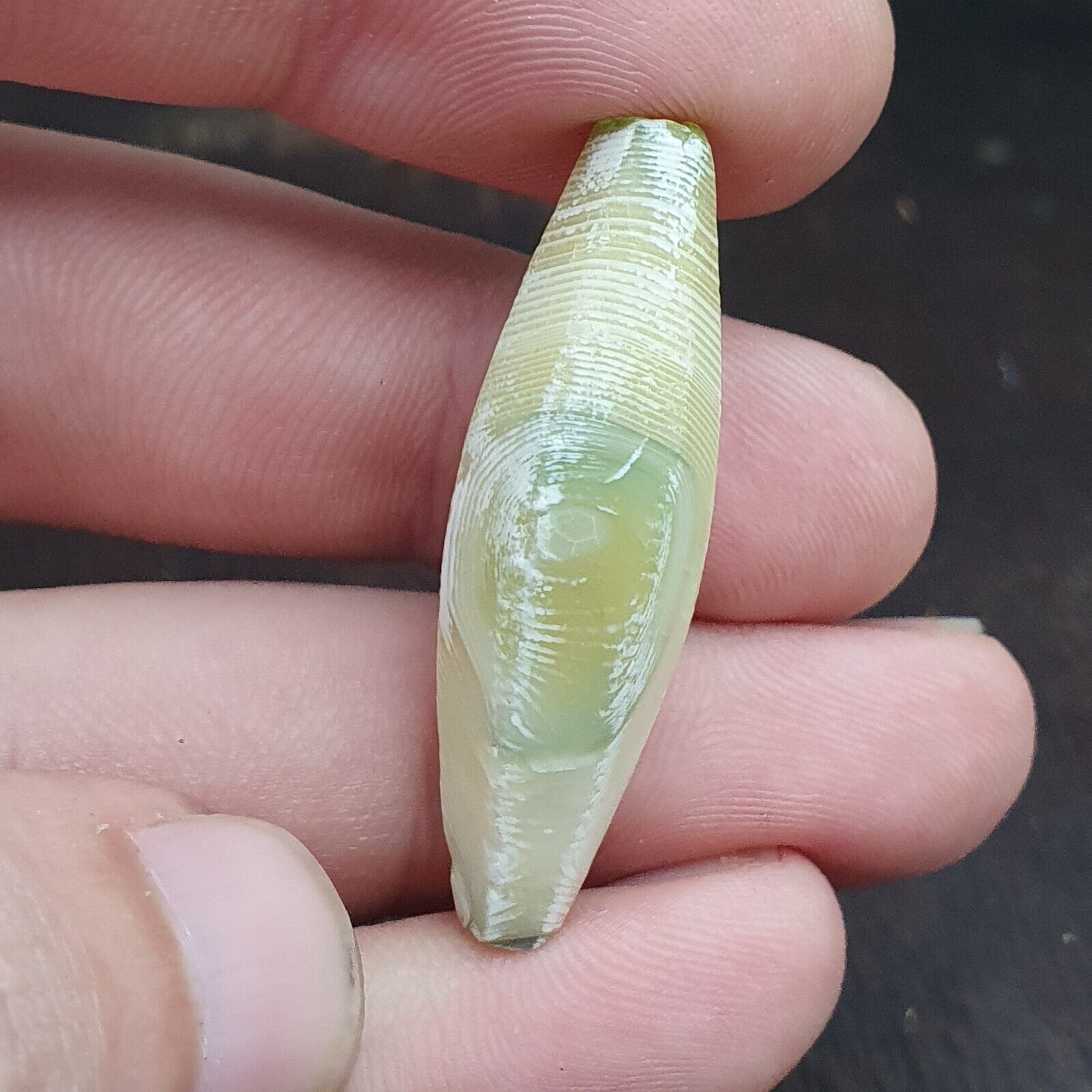 2 OLD Indo Tibetan Eyes Beads unique Patterns green Agate Dzi Amulet Beads