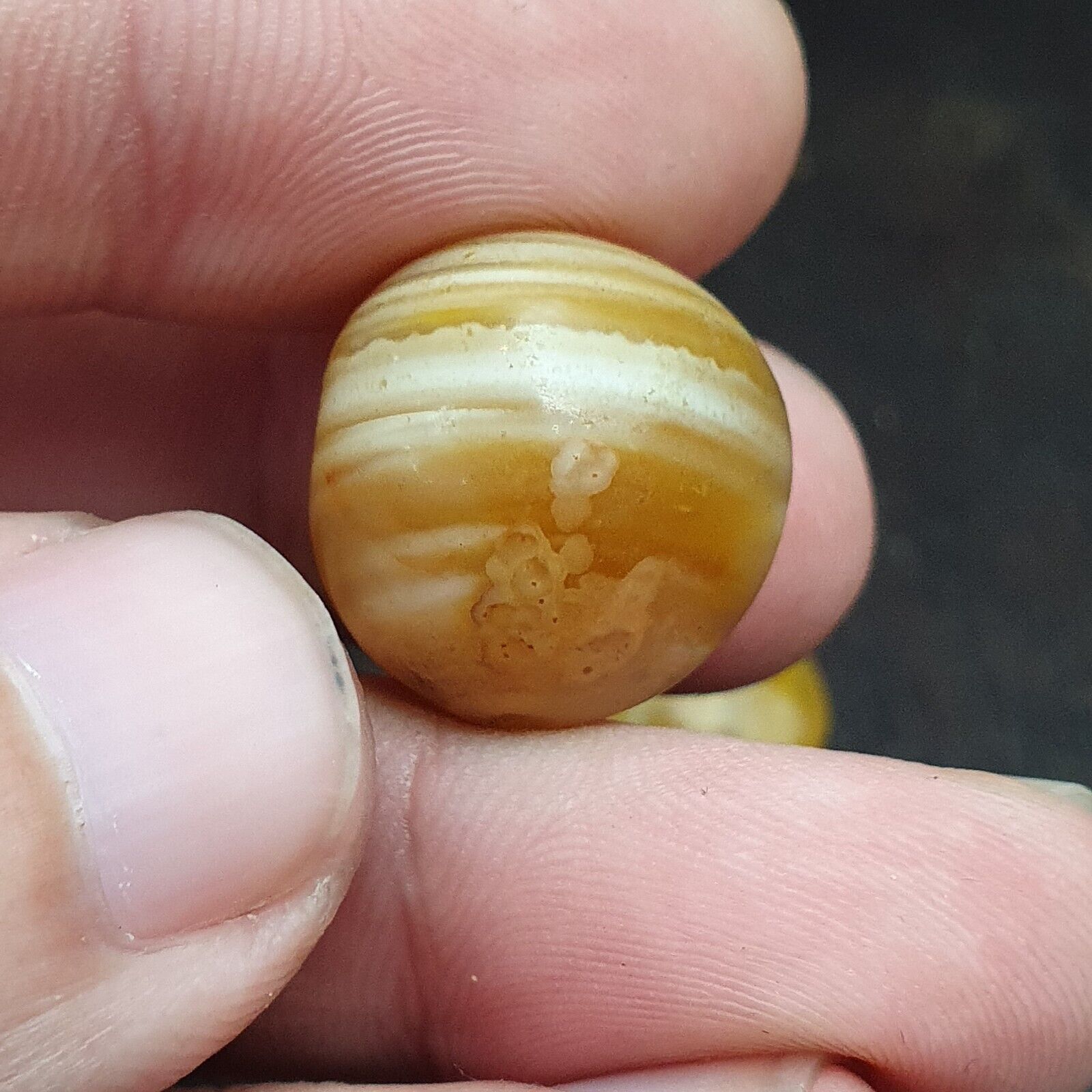 Lot 5 Ancient Antique INDO Himalayan yellow Agate Soleimani Banded Agate Beads