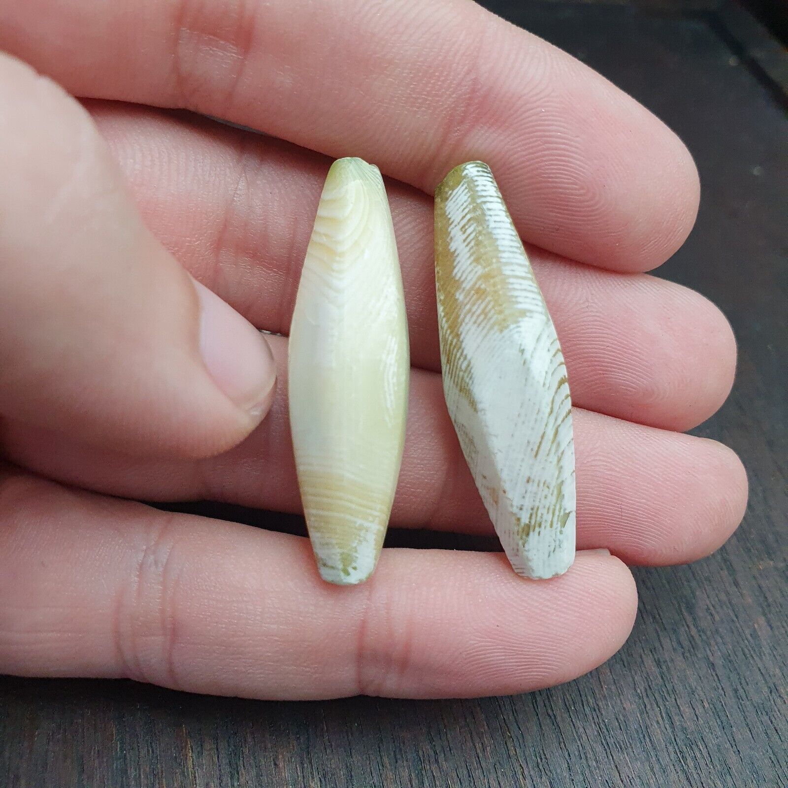 2 OLD Indo Tibetan Eyes Beads unique Patterns green Agate Dzi Amulet Beads