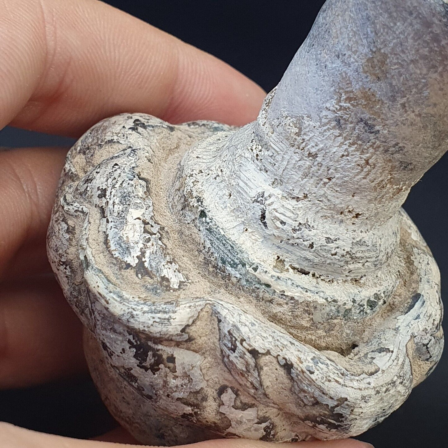 Antike römische Parfümflasche aus Glas, Medizinflasche in ausgezeichnetem Zustand