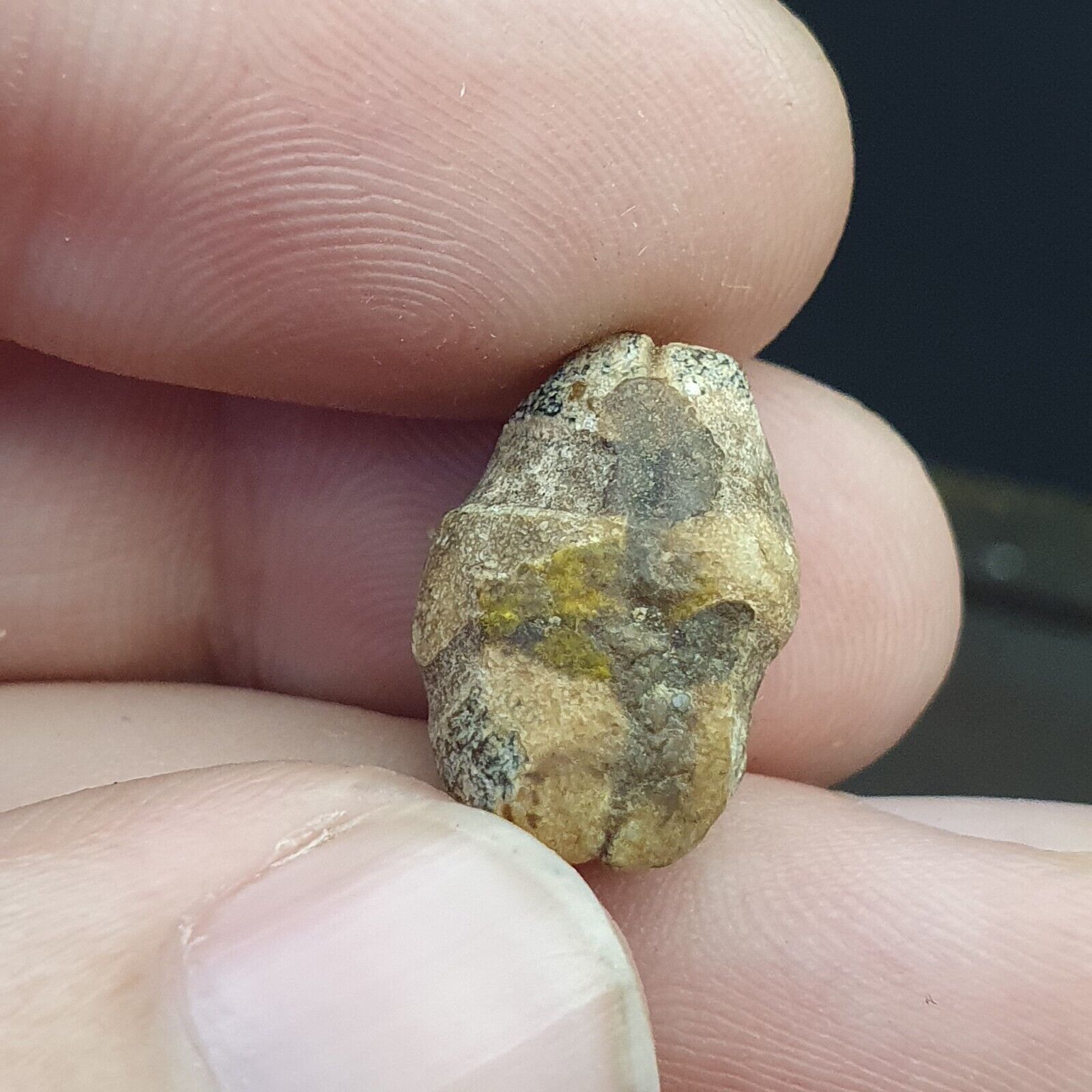 LOT 5 Antique ANCIENT ROMAN . MOSAIC GLASS BEAD. 300 - 400 A.D LT-RB501