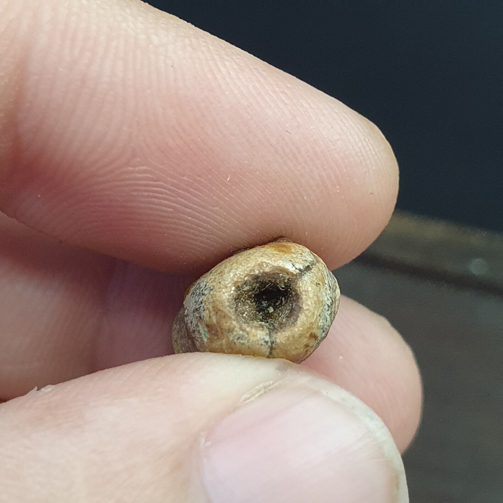 LOT 5 Antique ANCIENT ROMAN . MOSAIC GLASS BEAD. 300 - 400 A.D LT-RB501