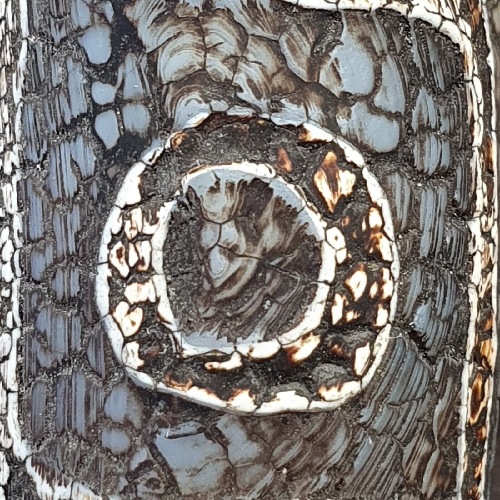 Beautiful Himalayan Indo Tibetan rare Patterns Dzi Amulet Bead