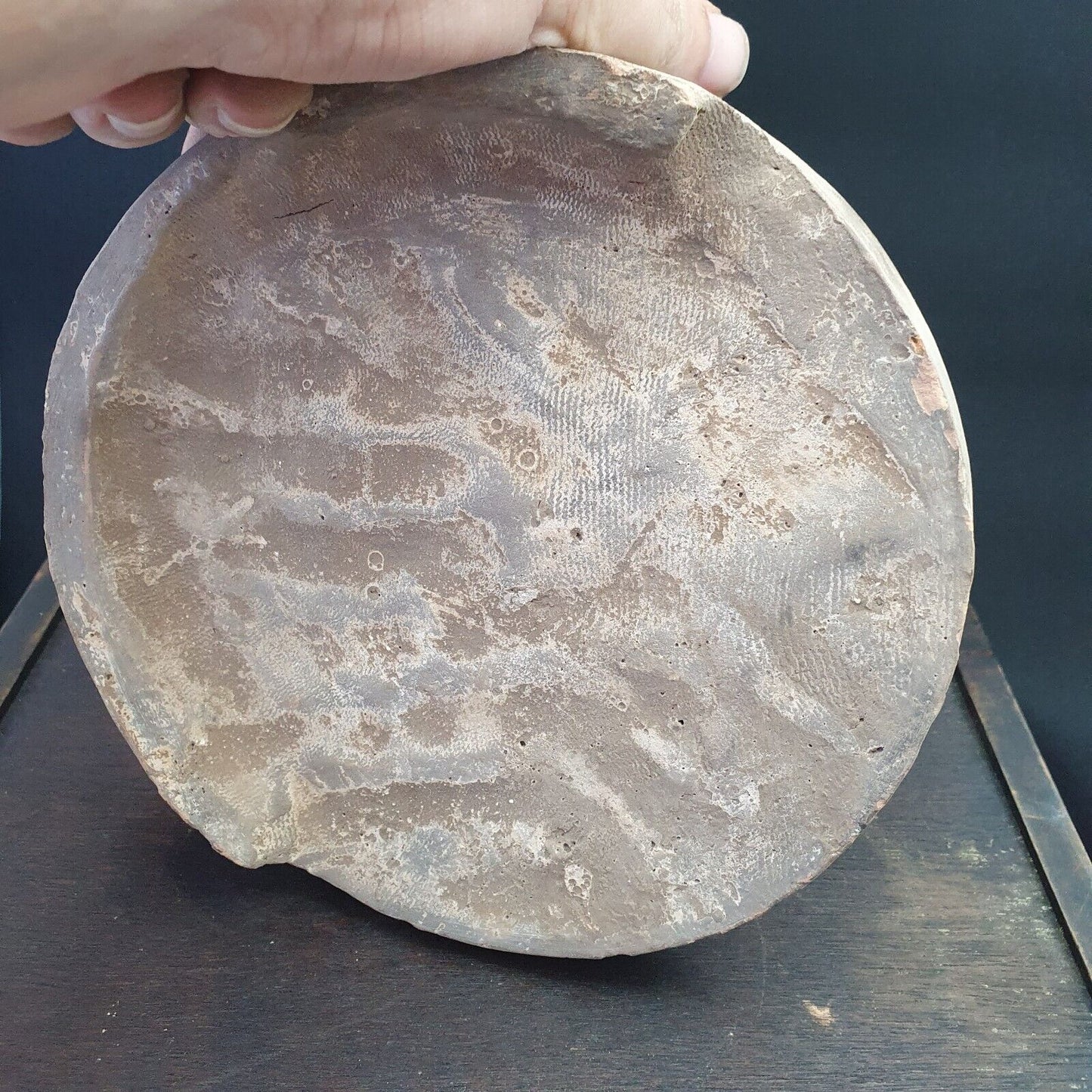 古董古代赤土陶器近東古代動物