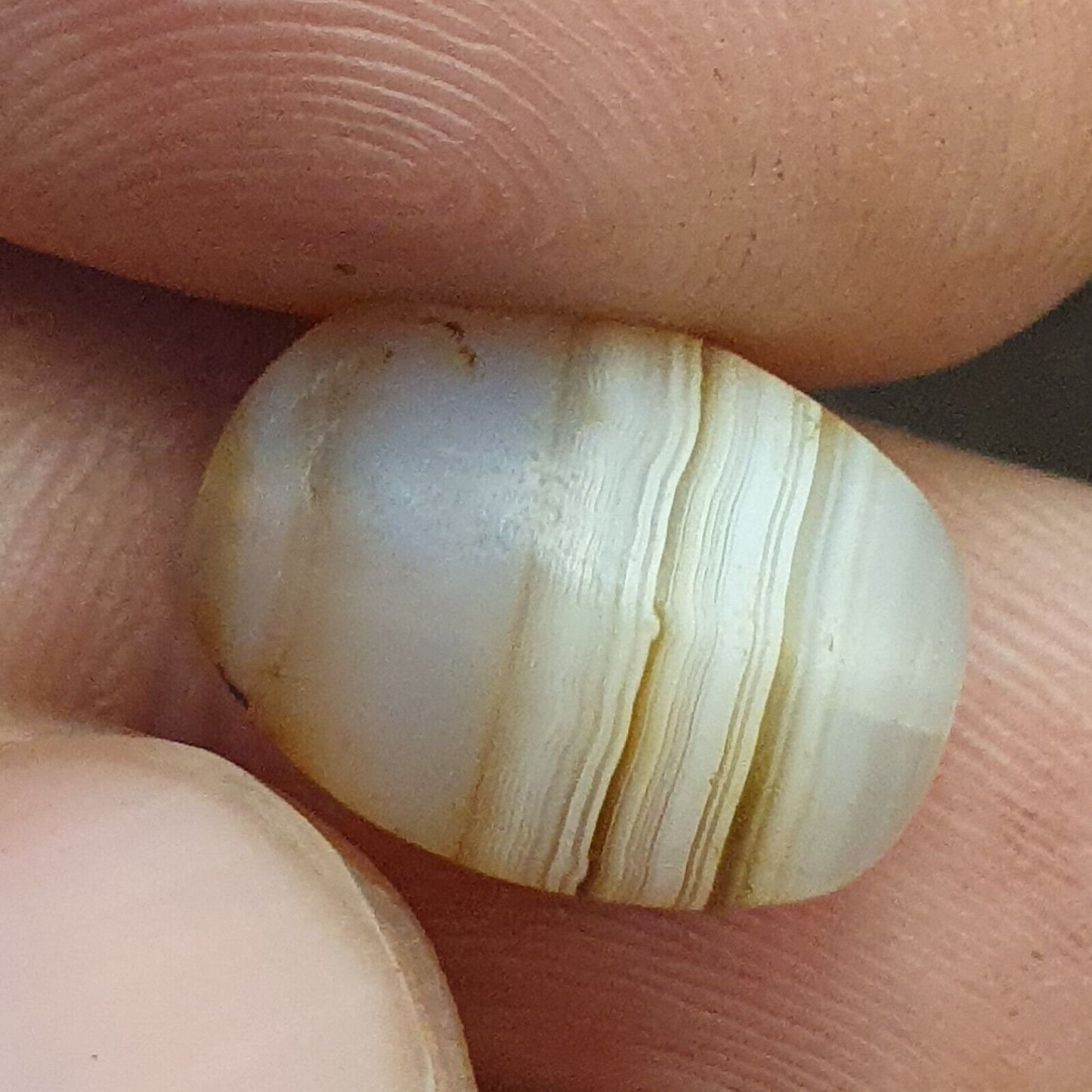 古代阿契美尼德-薩珊王朝波斯瑪瑙飛馬座郵票印章非常罕見