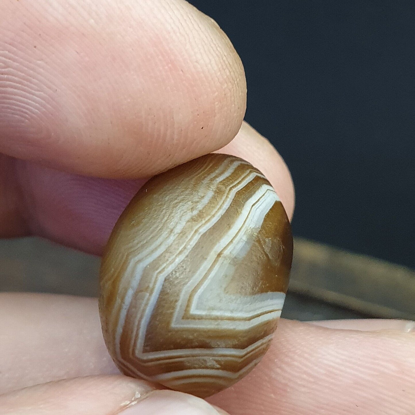 DZI Old Bead Pure Eye Indien Tibetisches Himalaya-Amulett, religiöse Antiquitäten