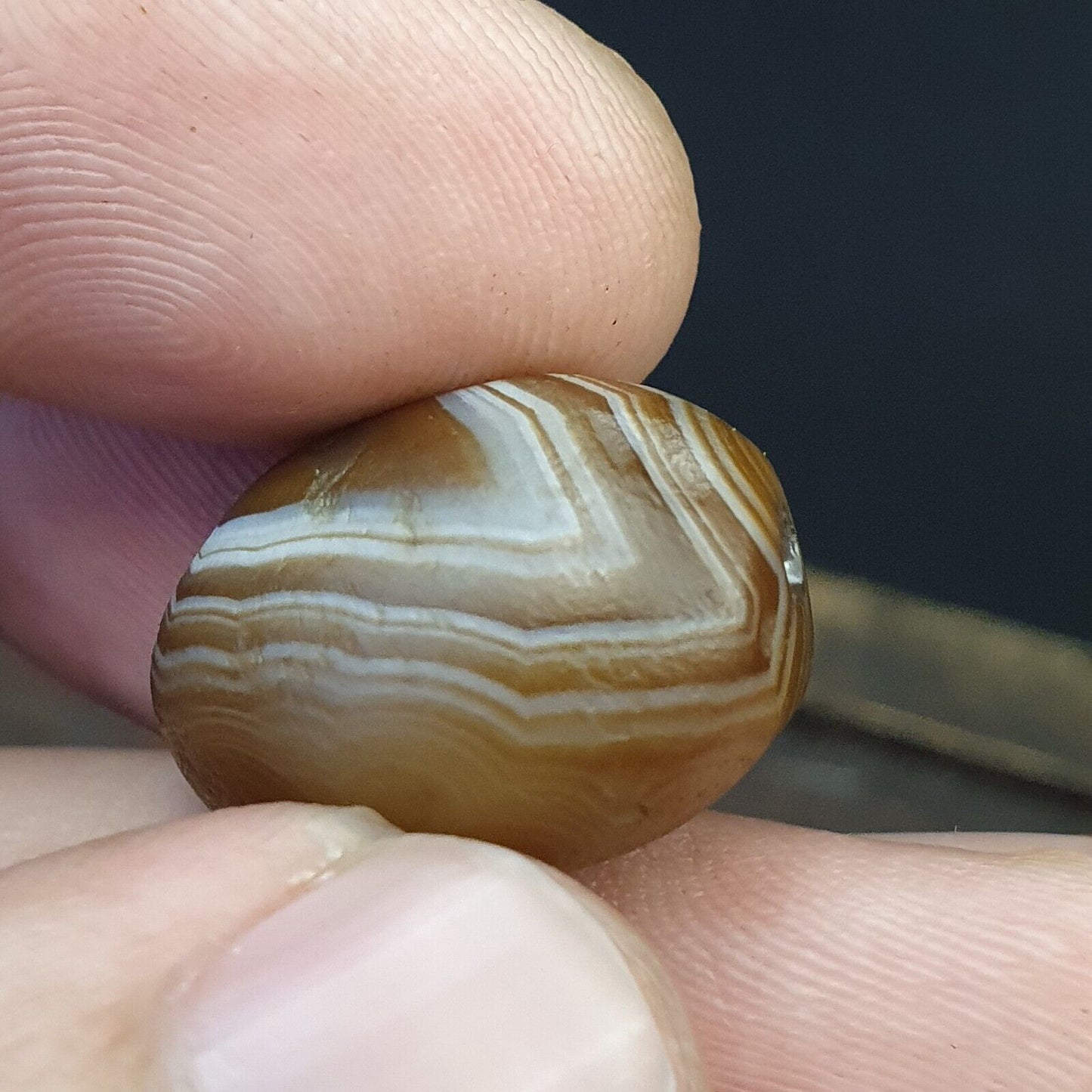 DZI Old Bead Pure Eye Indien Tibetisches Himalaya-Amulett, religiöse Antiquitäten