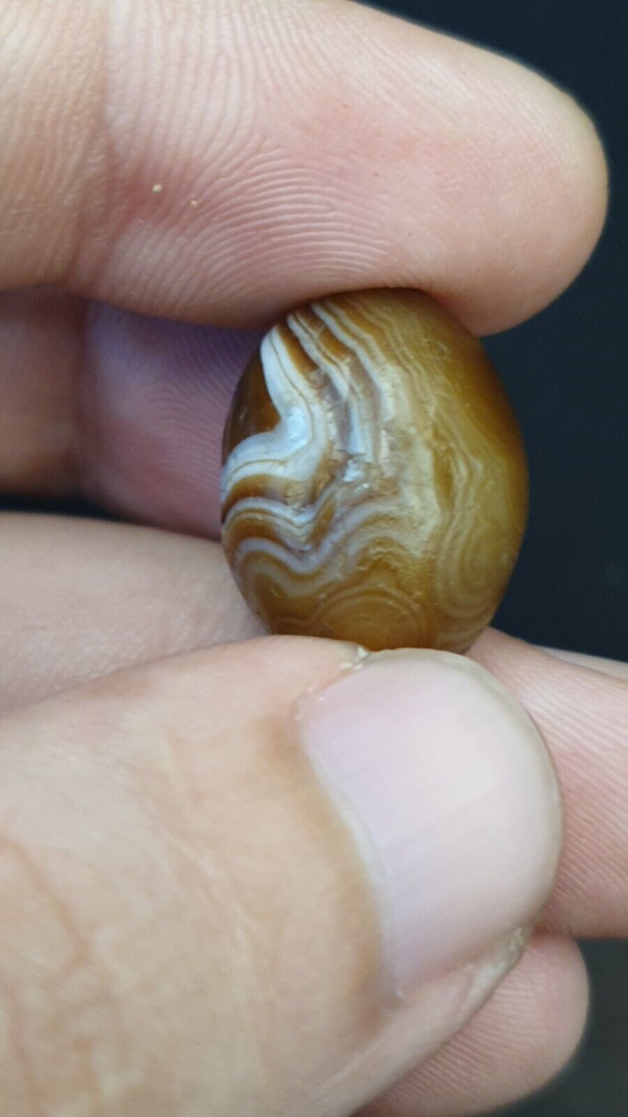 DZI Old Bead Pure Eye India Tibetan Himalaya Amulet Religious Antiquities