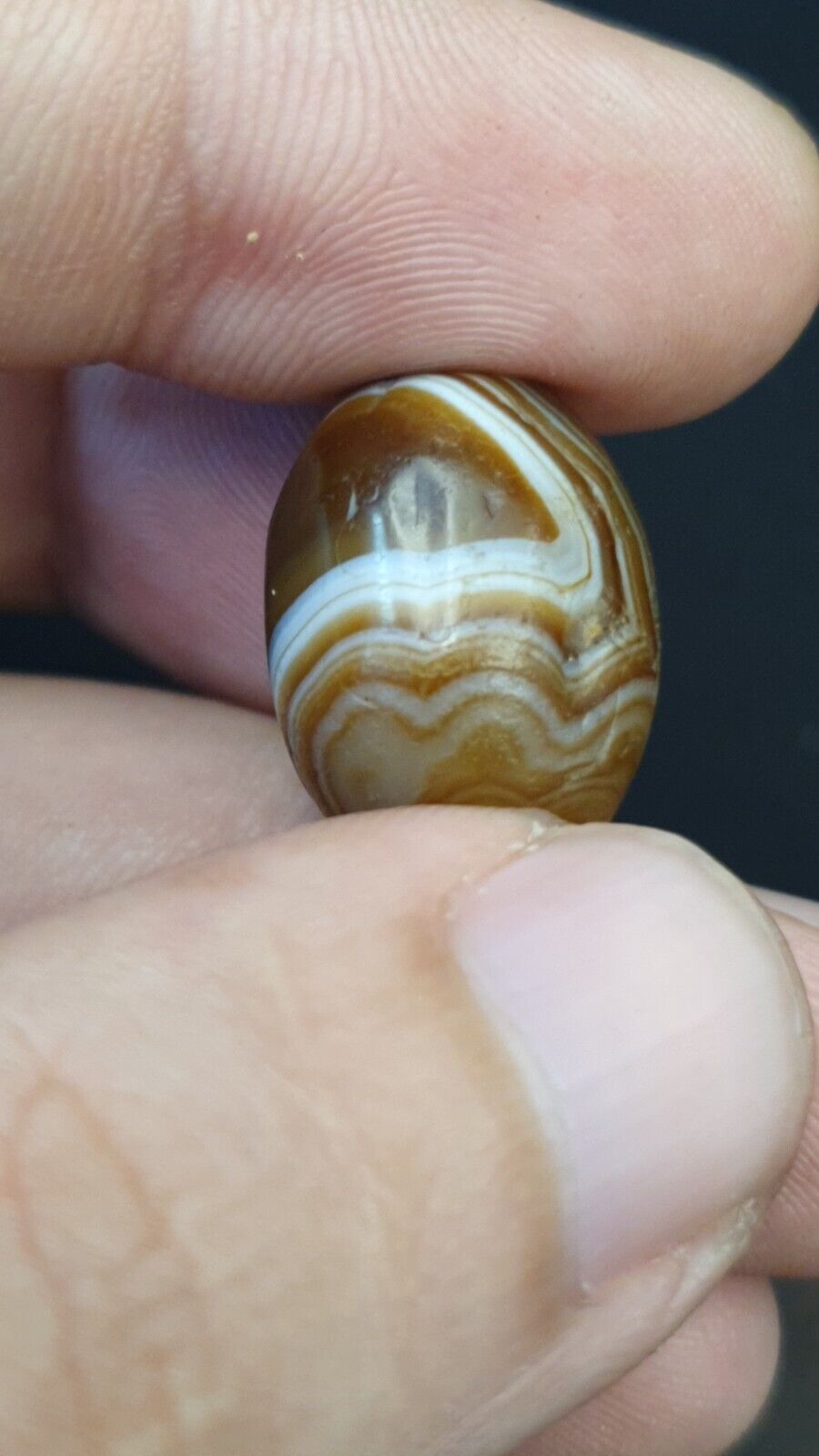 DZI Old Bead Pure Eye India Tibetan Himalaya Amulet Religious Antiquities