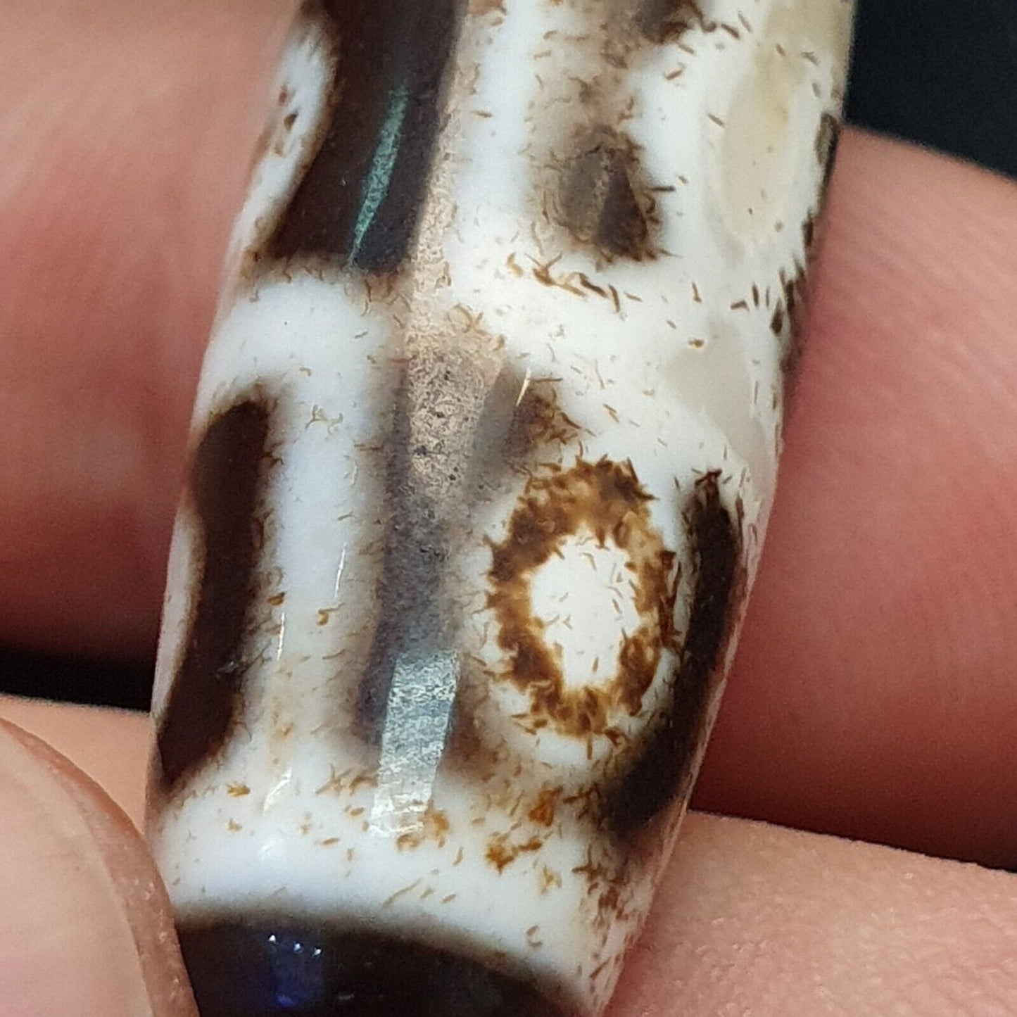 西藏中國尼泊爾喜馬拉雅瑪瑙眼睛珠天珠護身符珠