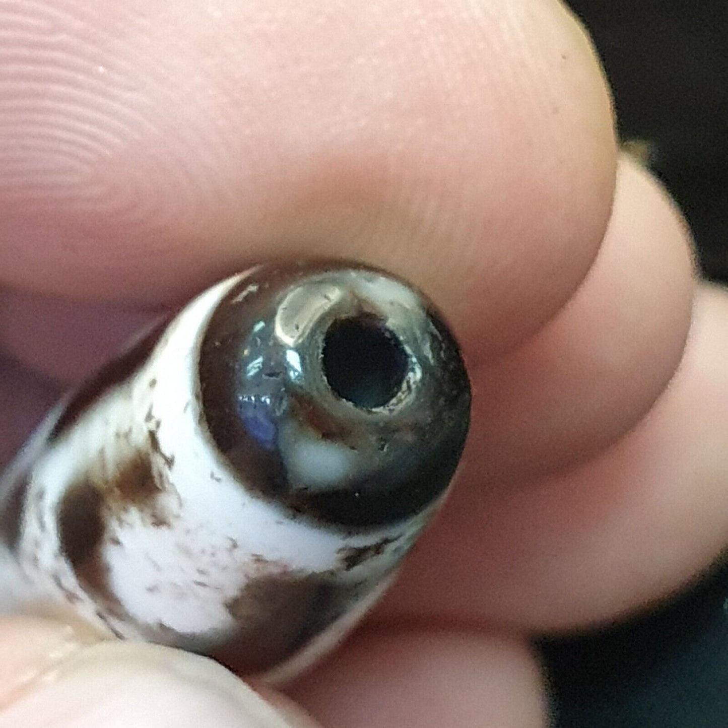 西藏中國尼泊爾喜馬拉雅瑪瑙眼睛珠天珠護身符珠
