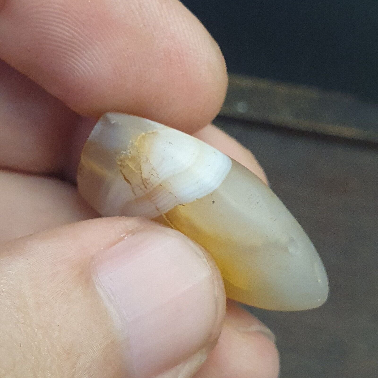 Antique Ancient INDO Tibetan White Agate stone Bead Pendent Amulet  #1555