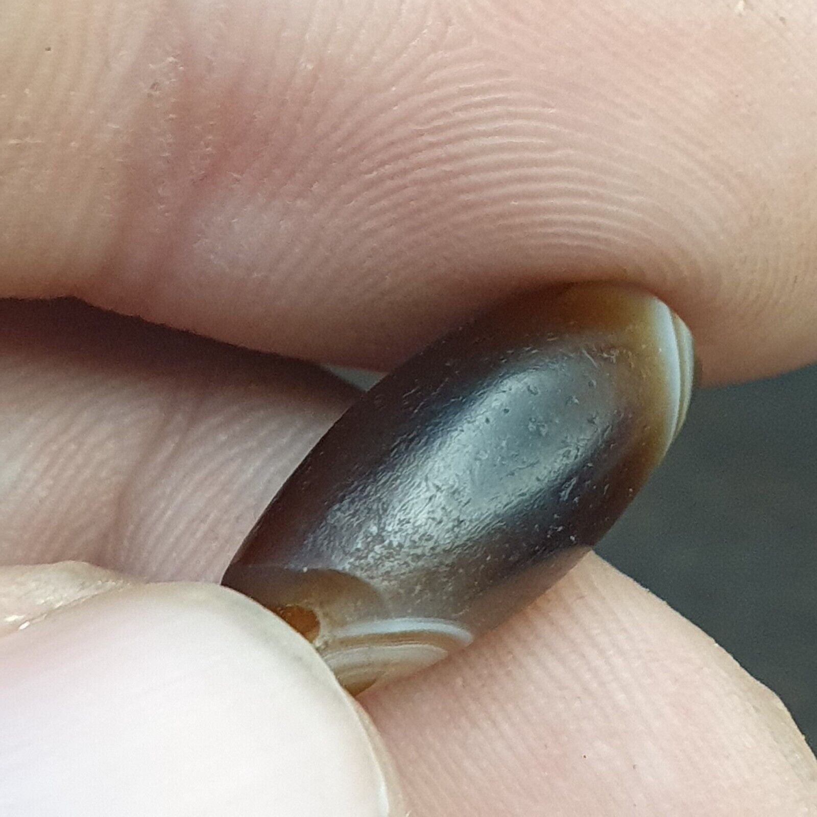 Wonderfully 2 old Antique Himalayan Indo Tibetan Eyes Dzi Amulet Bead 1000+ year