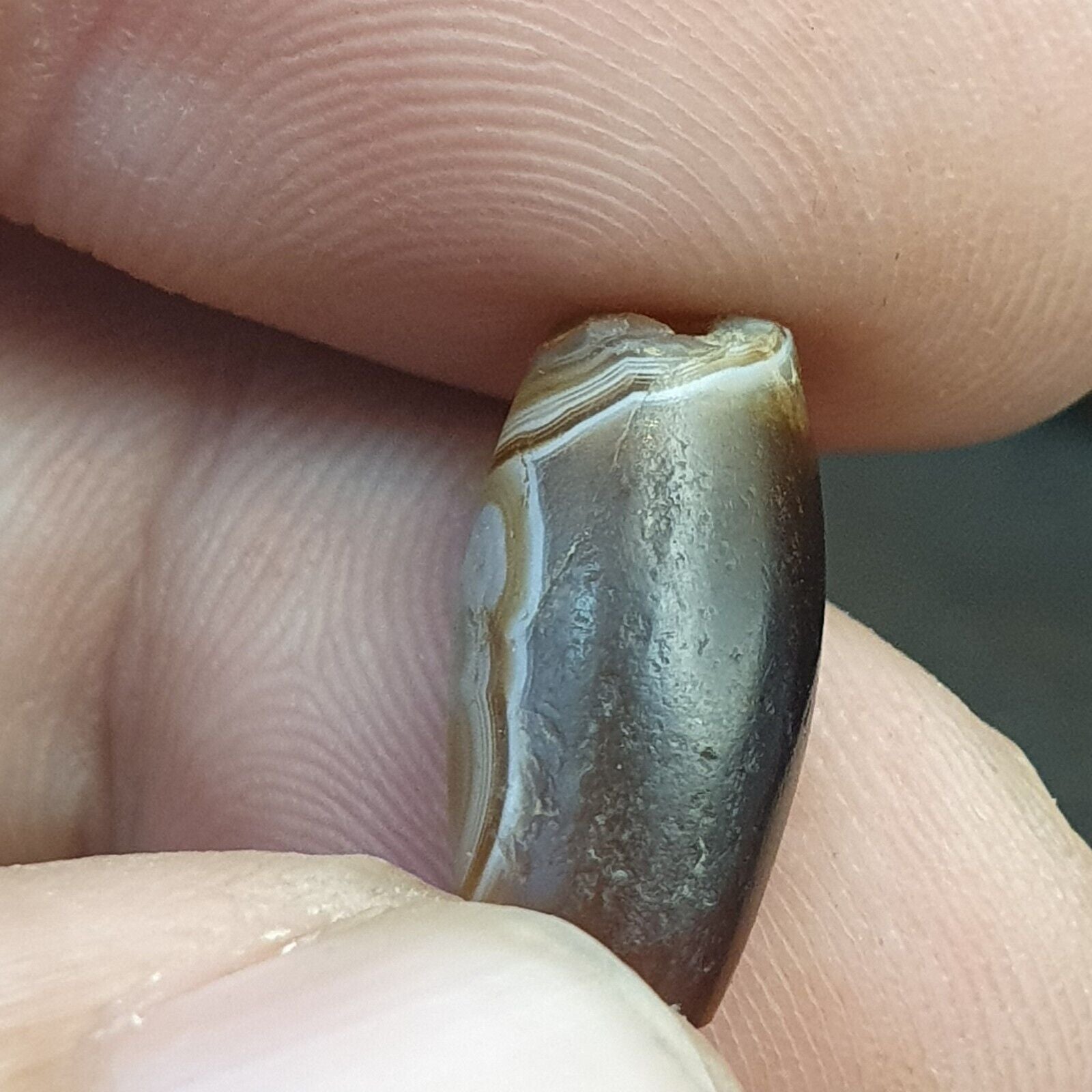 Wonderfully 2 old Antique Himalayan Indo Tibetan Eyes Dzi Amulet Bead 1000+ year