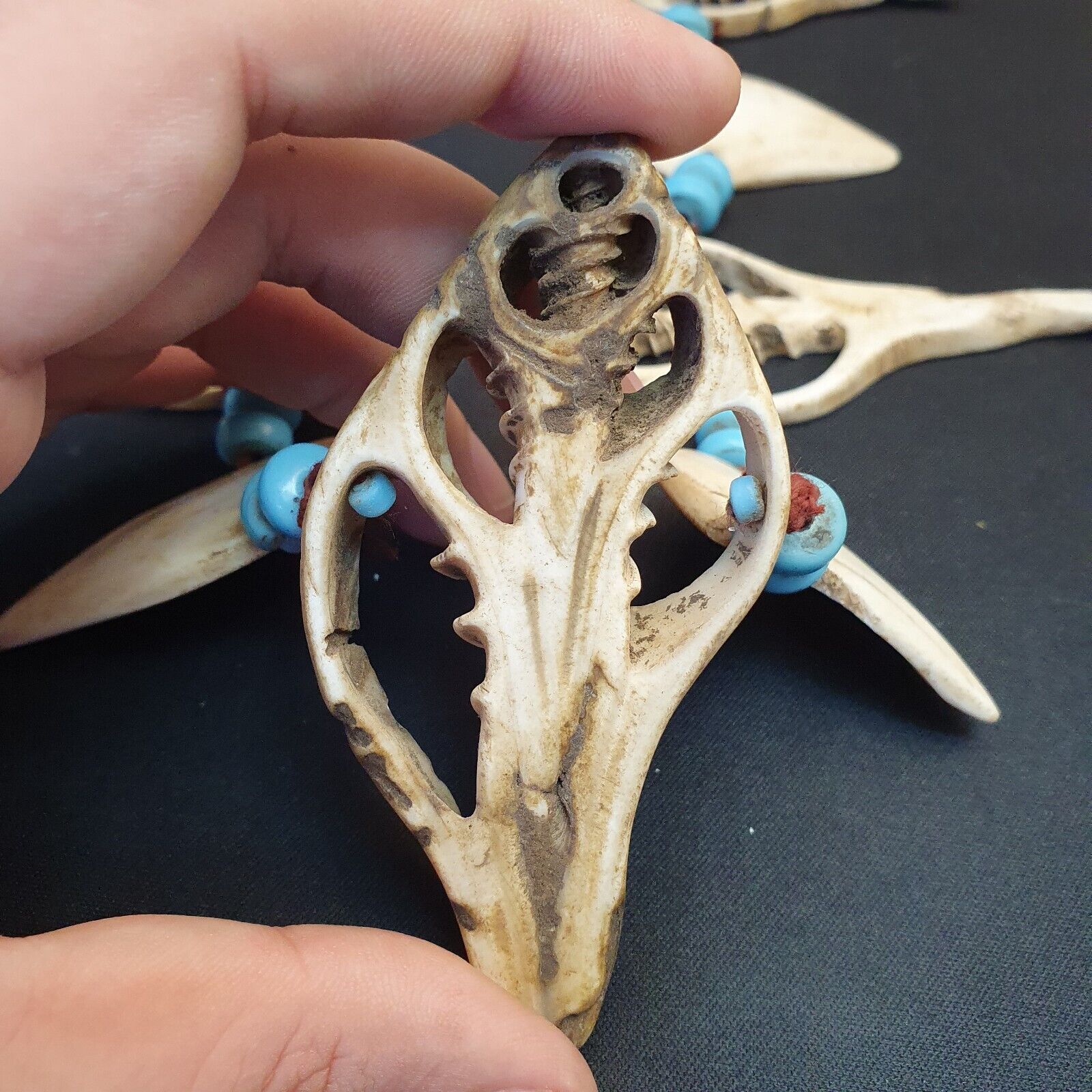 RARE CA 1800 NATIVE  INDIAN BUFFALO TOOTH / BONE BEADED NECKLACE
