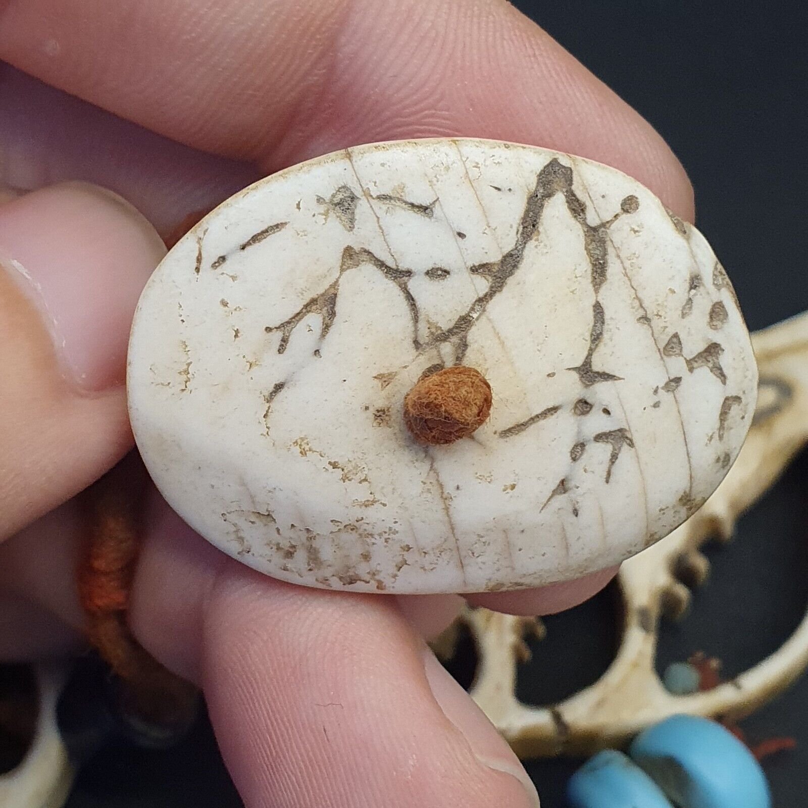 RARE CA 1800 NATIVE  INDIAN BUFFALO TOOTH / BONE BEADED NECKLACE