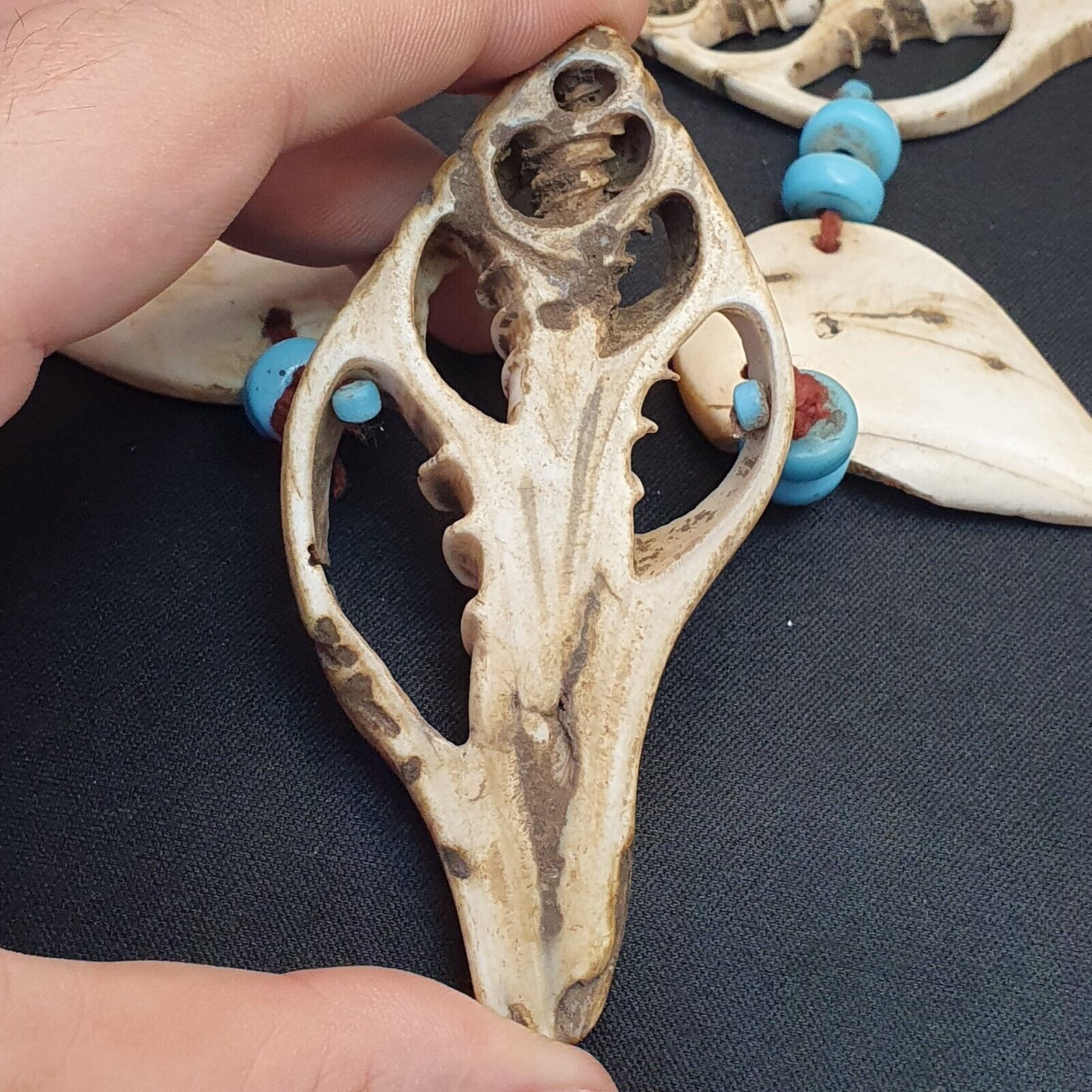 RARE CA 1800 NATIVE  INDIAN BUFFALO TOOTH / BONE BEADED NECKLACE