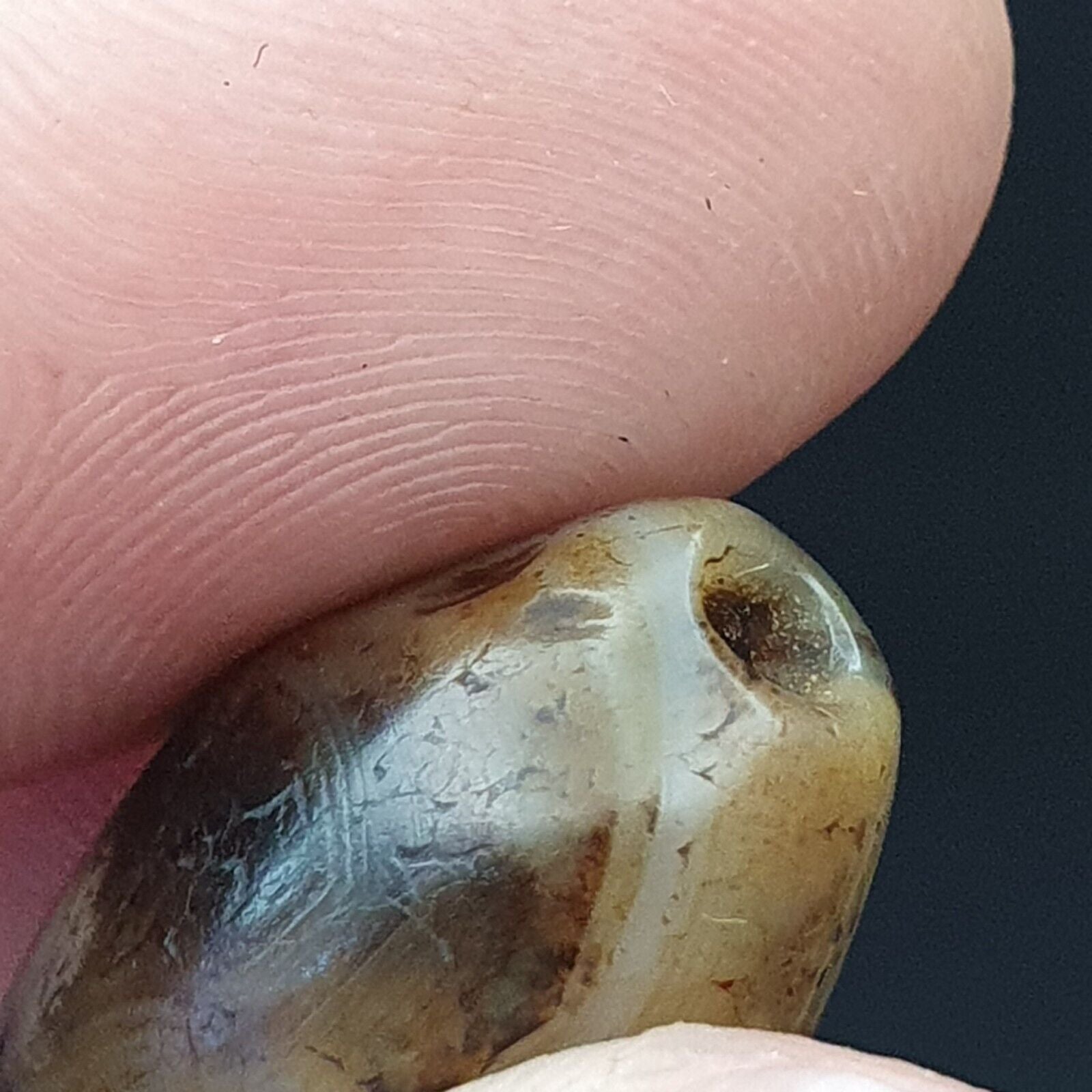 SL014 ancient old Antique Himalayan Indo Tibetan Eye Suleimany Bead