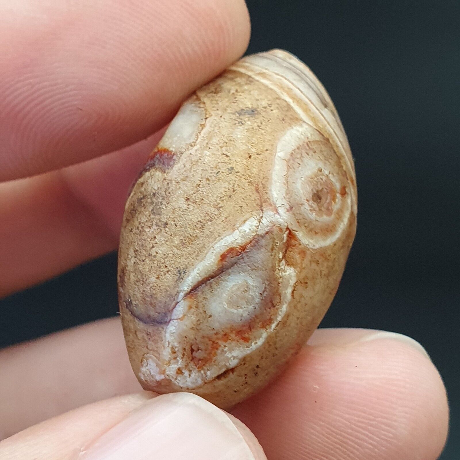 SL04 Wonderfully old Antique Himalayan Indo Tibetan Eye Suleimany Bead