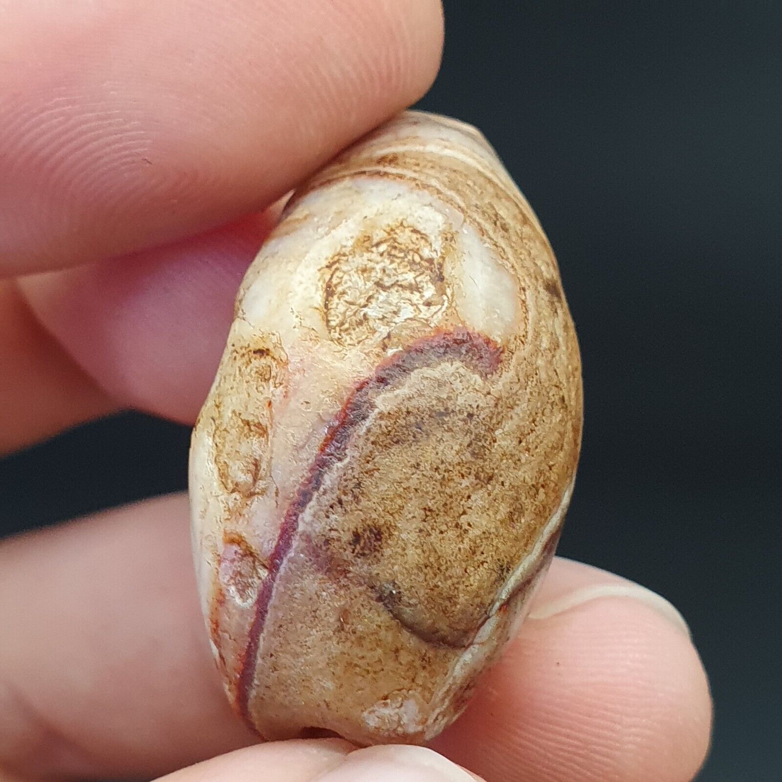 SL04 Wonderfully old Antique Himalayan Indo Tibetan Eye Suleimany Bead