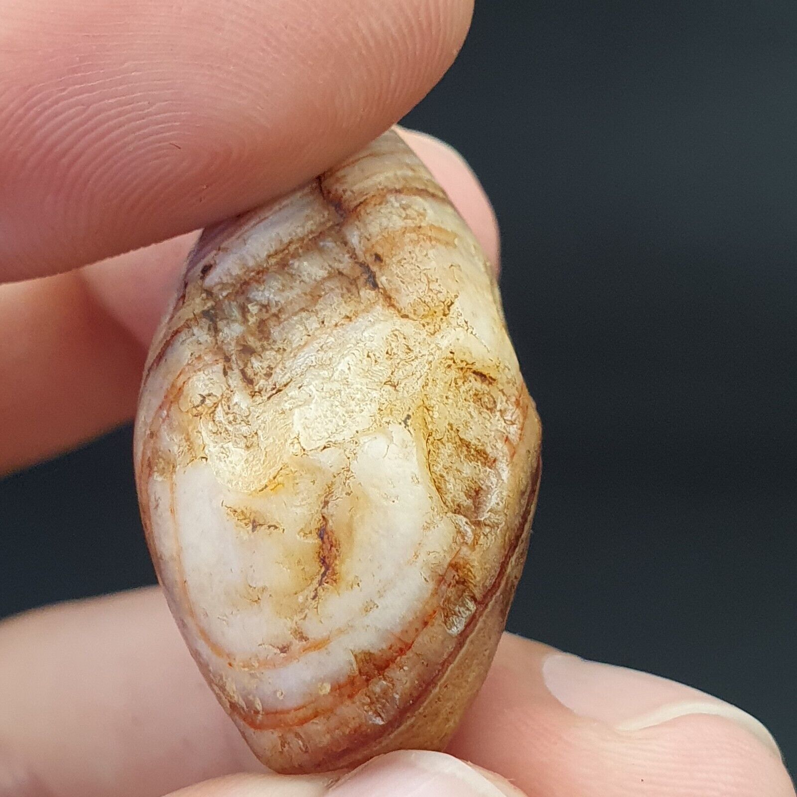 SL04 Wonderfully old Antique Himalayan Indo Tibetan Eye Suleimany Bead