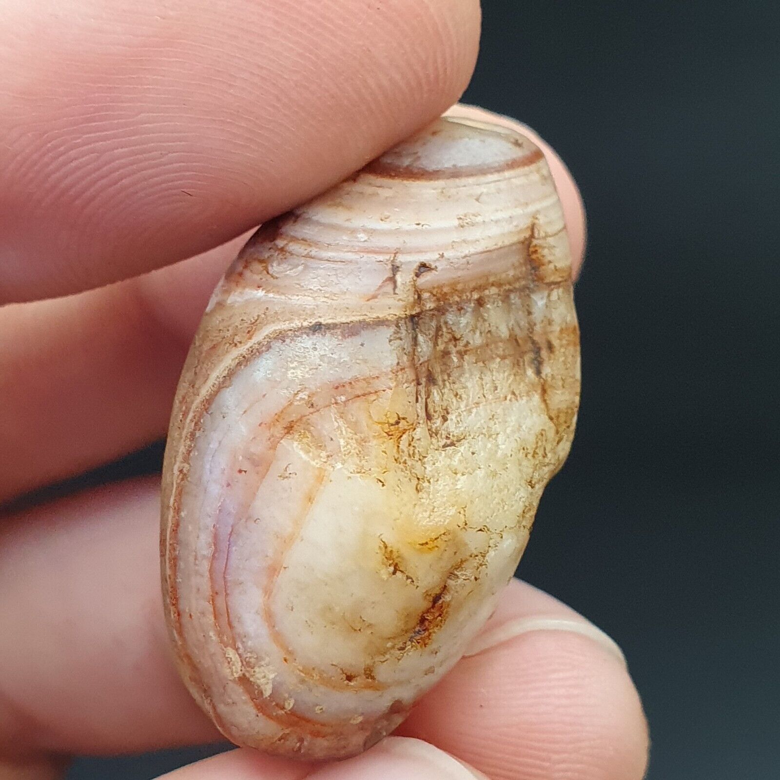 SL04 Wonderfully old Antique Himalayan Indo Tibetan Eye Suleimany Bead