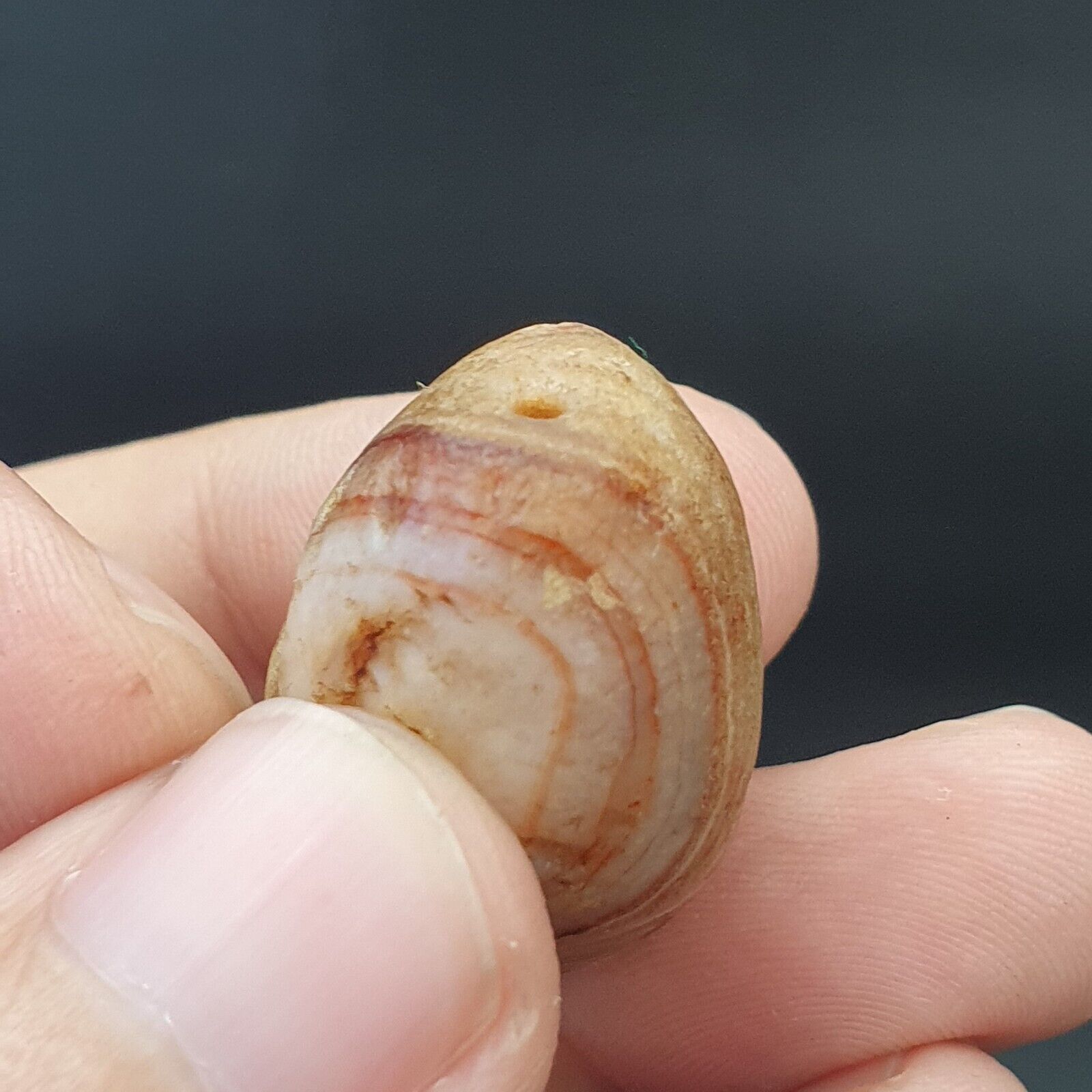 SL04 Wonderfully old Antique Himalayan Indo Tibetan Eye Suleimany Bead