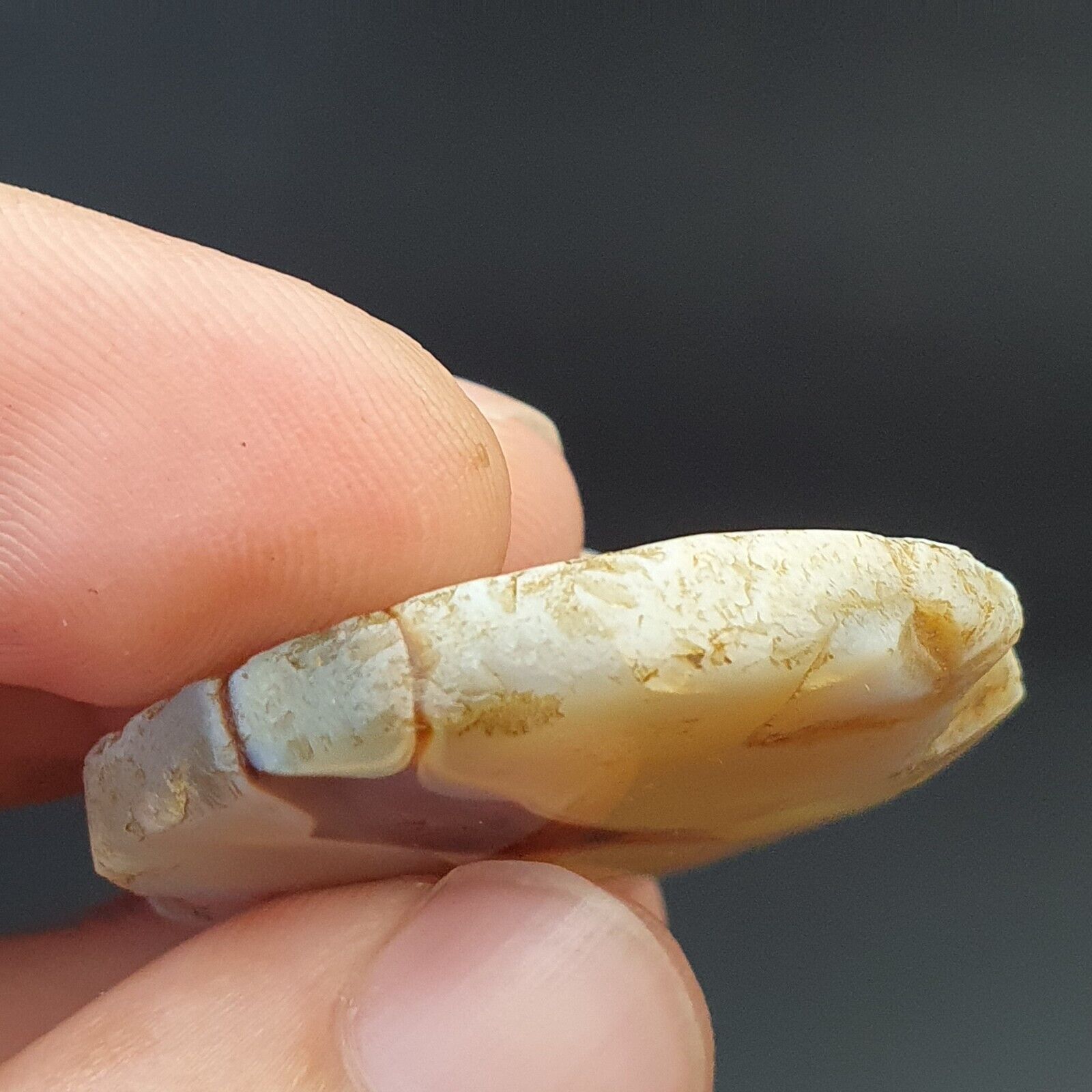 midle eastern old Antique Himalayan Indo Tibetan Eye Suleimany Bead SL013