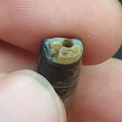 Midle eastern Agate old Antique Yemeni Agate Soleimani Bead SL022