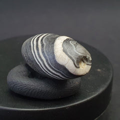 Antique Ancient Old Himalayan Soleimani Agate Bead Black and White  SL021