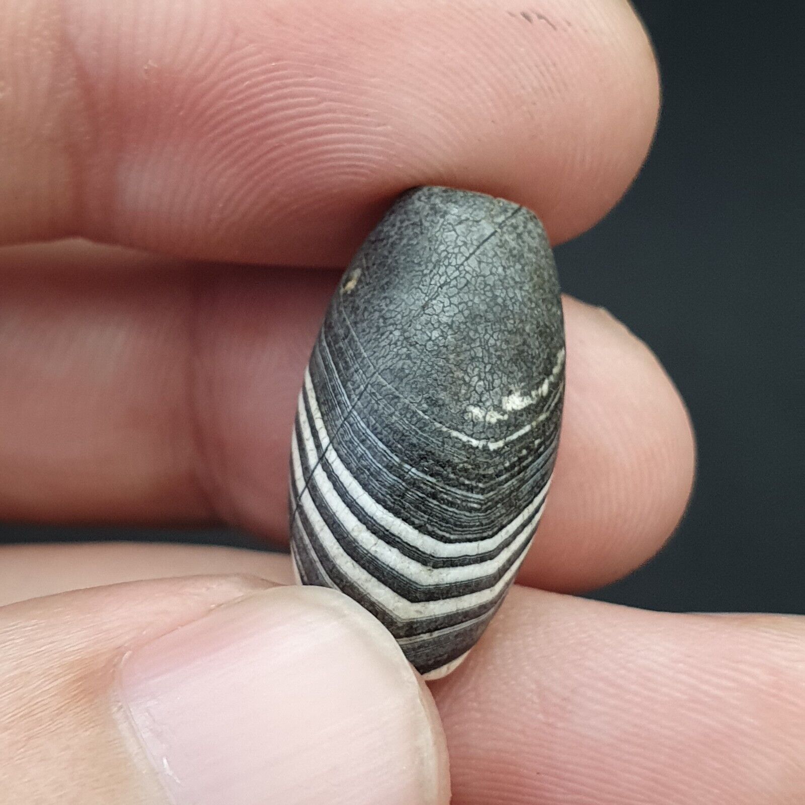 Antique Ancient Old Himalayan Soleimani Agate Bead Black and White  SL021