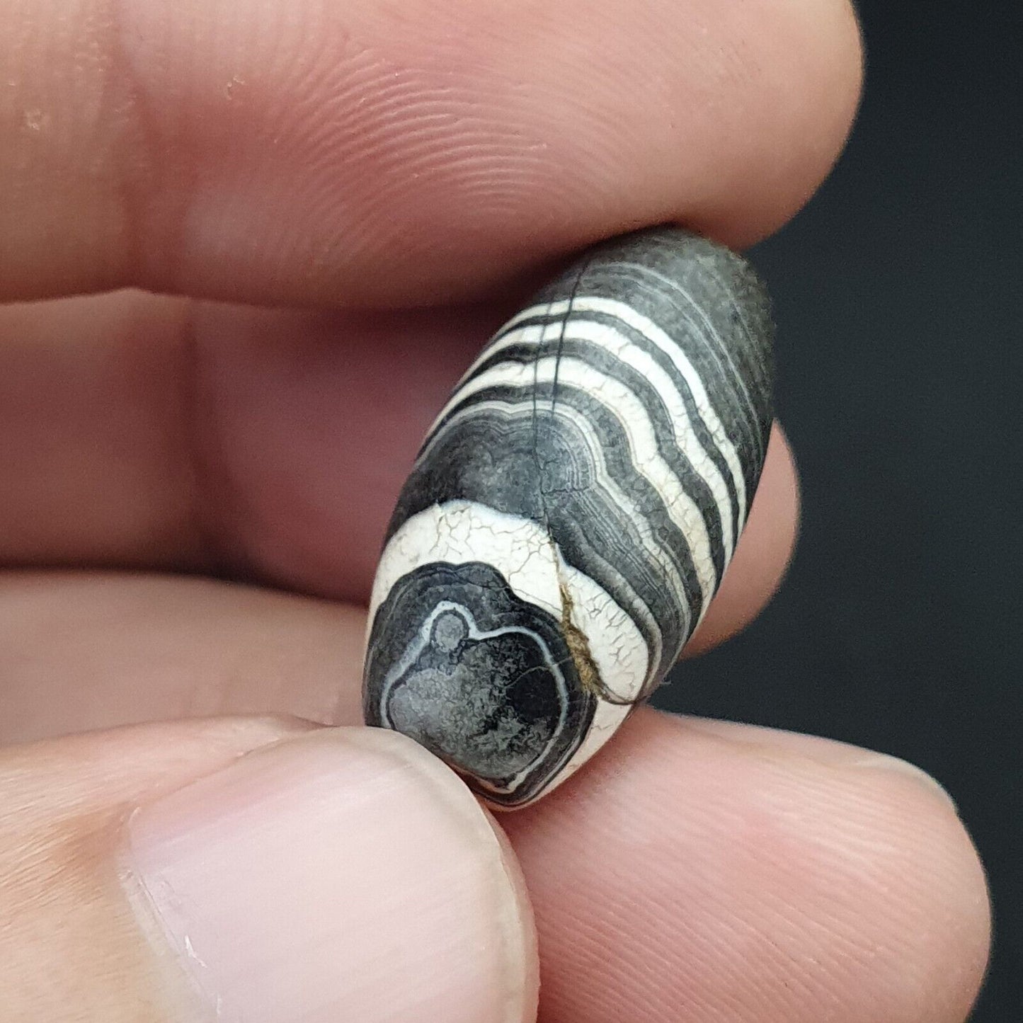 古董古老喜馬拉雅蘇萊曼尼瑪瑙珠黑白 SL021