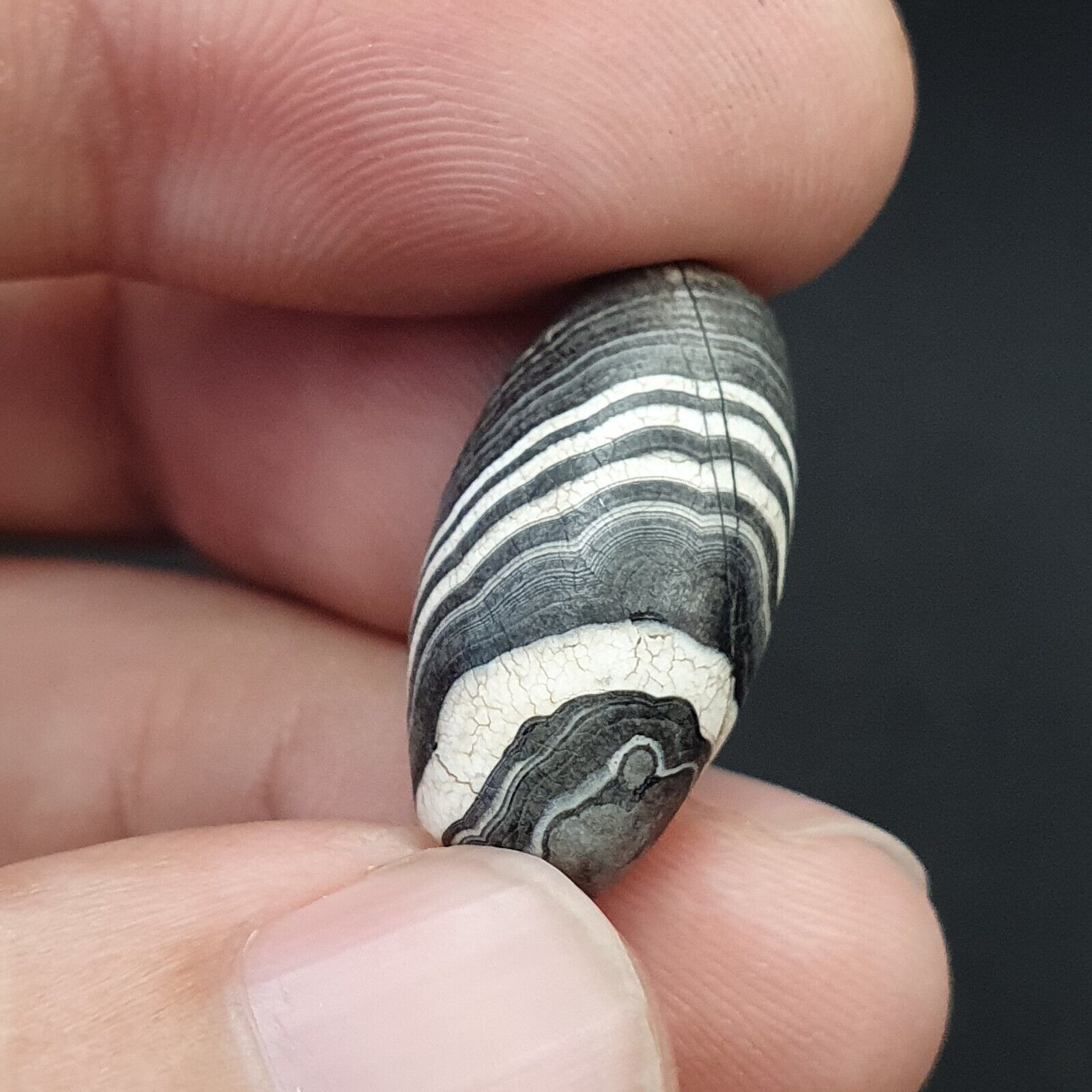 Antique Ancient Old Himalayan Soleimani Agate Bead Black and White  SL021