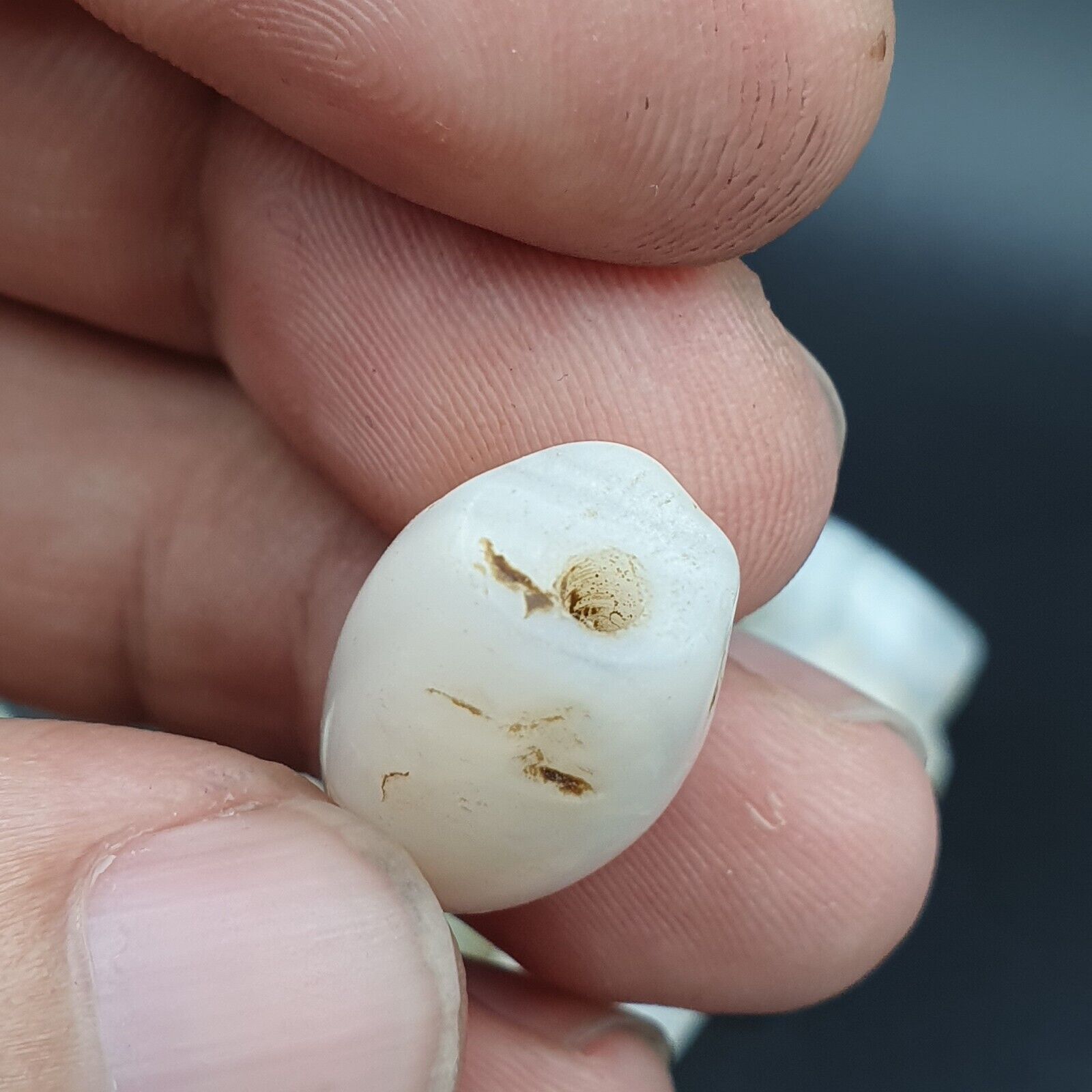 Lot 11 Antique Ancient Old Yemeni Soleimani Agate Bead White Agate   SL030