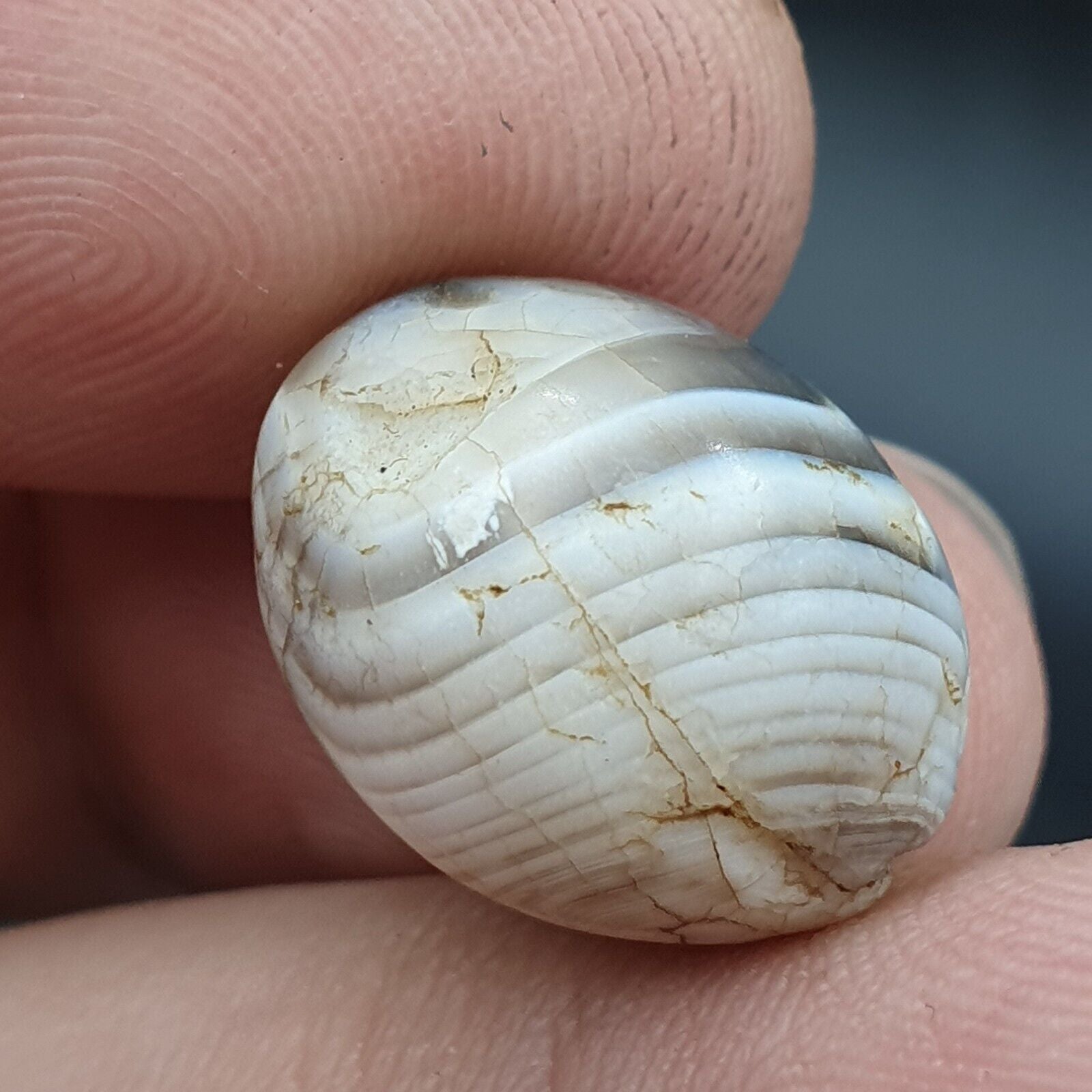 Lot 3 Antique Ancient Old Yemeni Soleimani Agate Bead White Agate   SL031