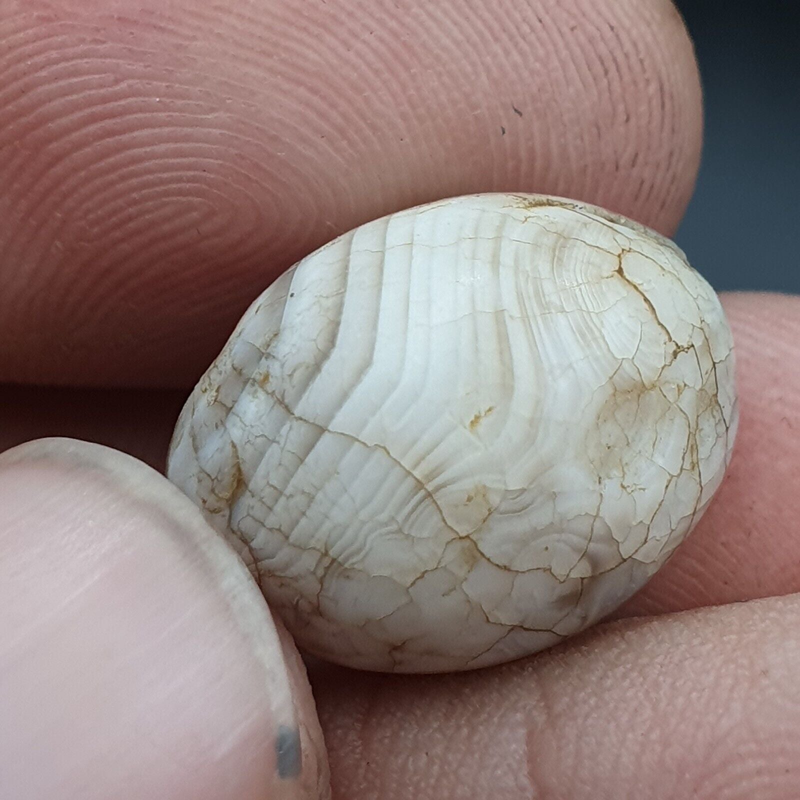 Lot 3 Antique Ancient Old Yemeni Soleimani Agate Bead White Agate   SL031