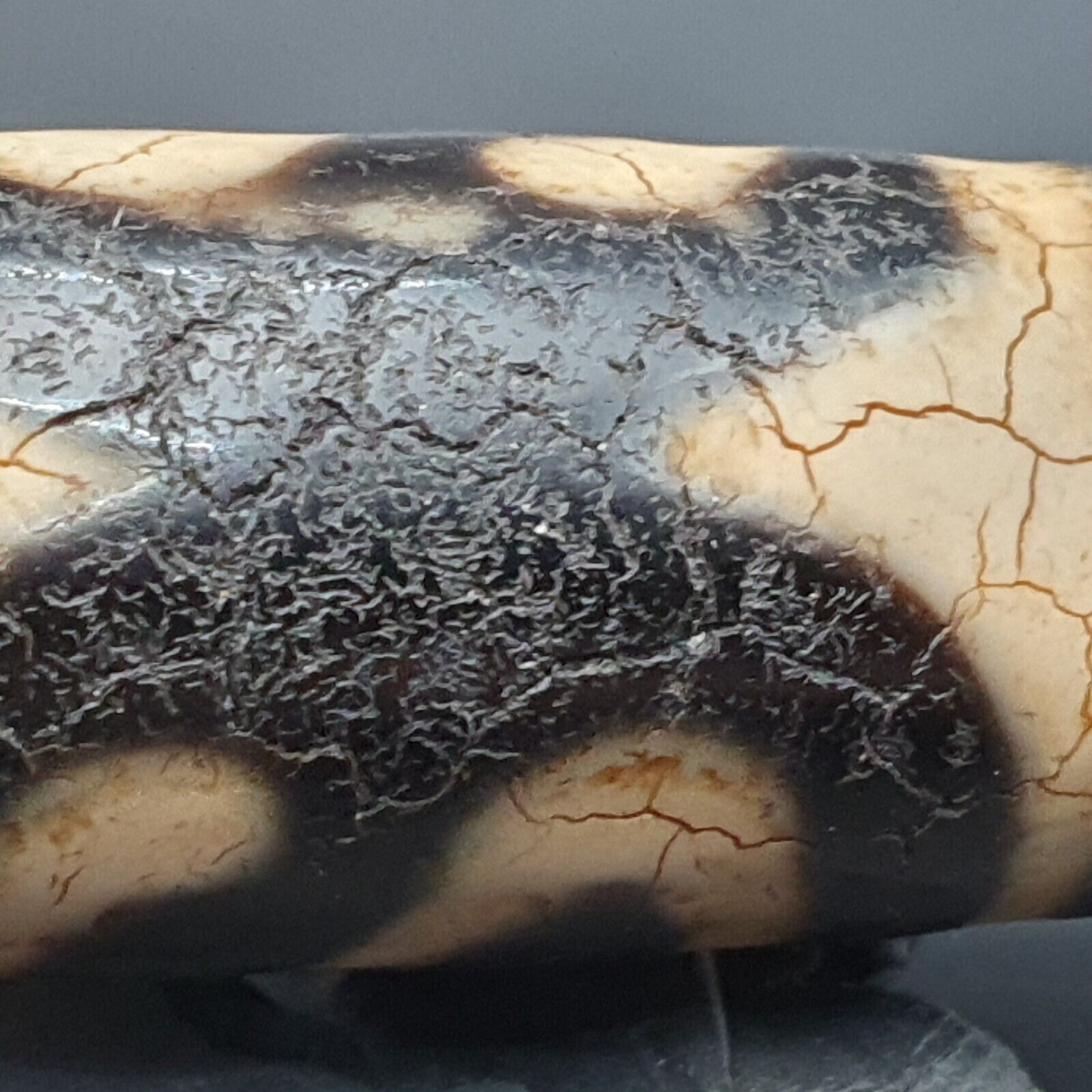 Himalayan Indo Tibetan Beautiful Agate Unique Pattern Dzi Amulet Bead BD1011