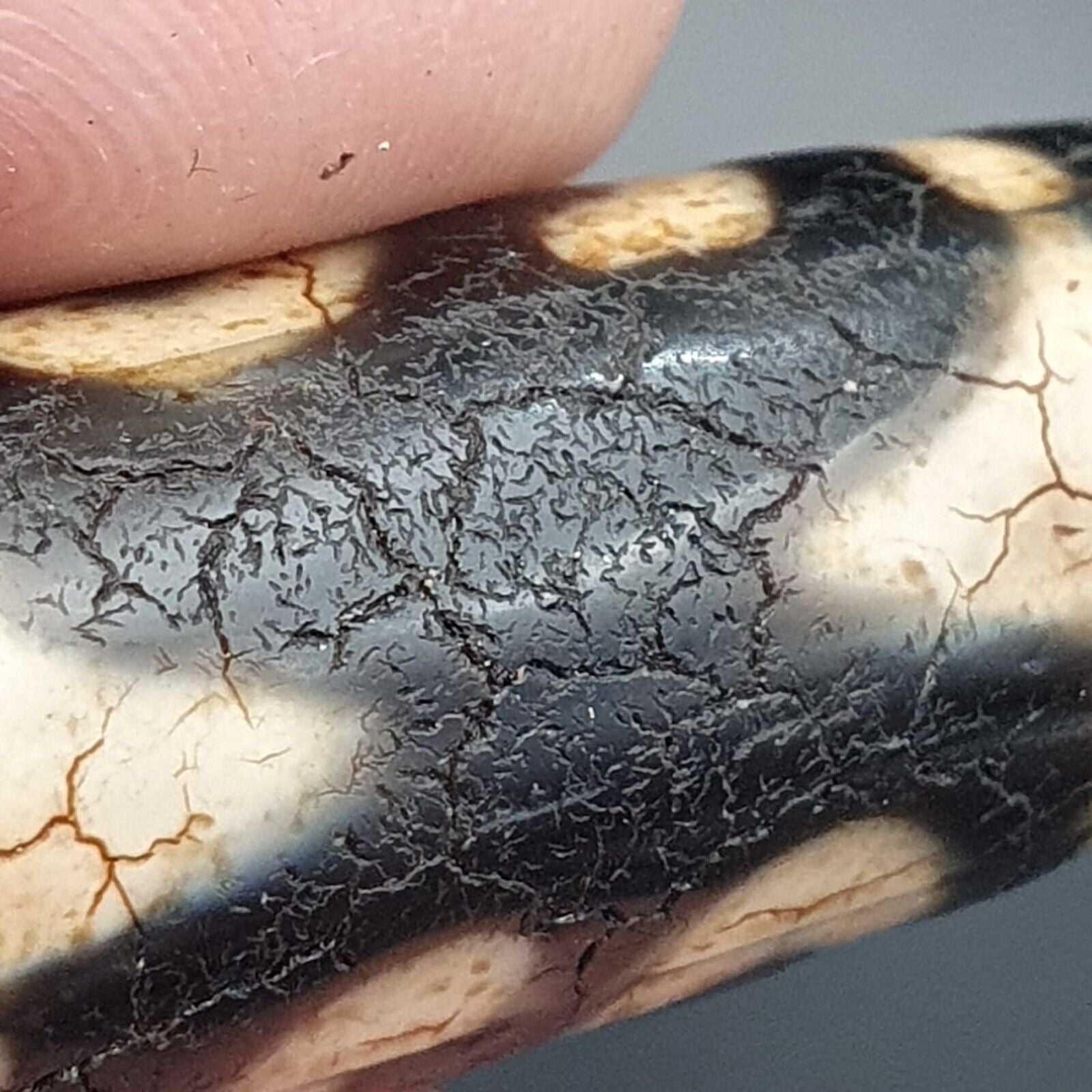 Himalayan Indo Tibetan Beautiful Agate Unique Pattern Dzi Amulet Bead BD1011