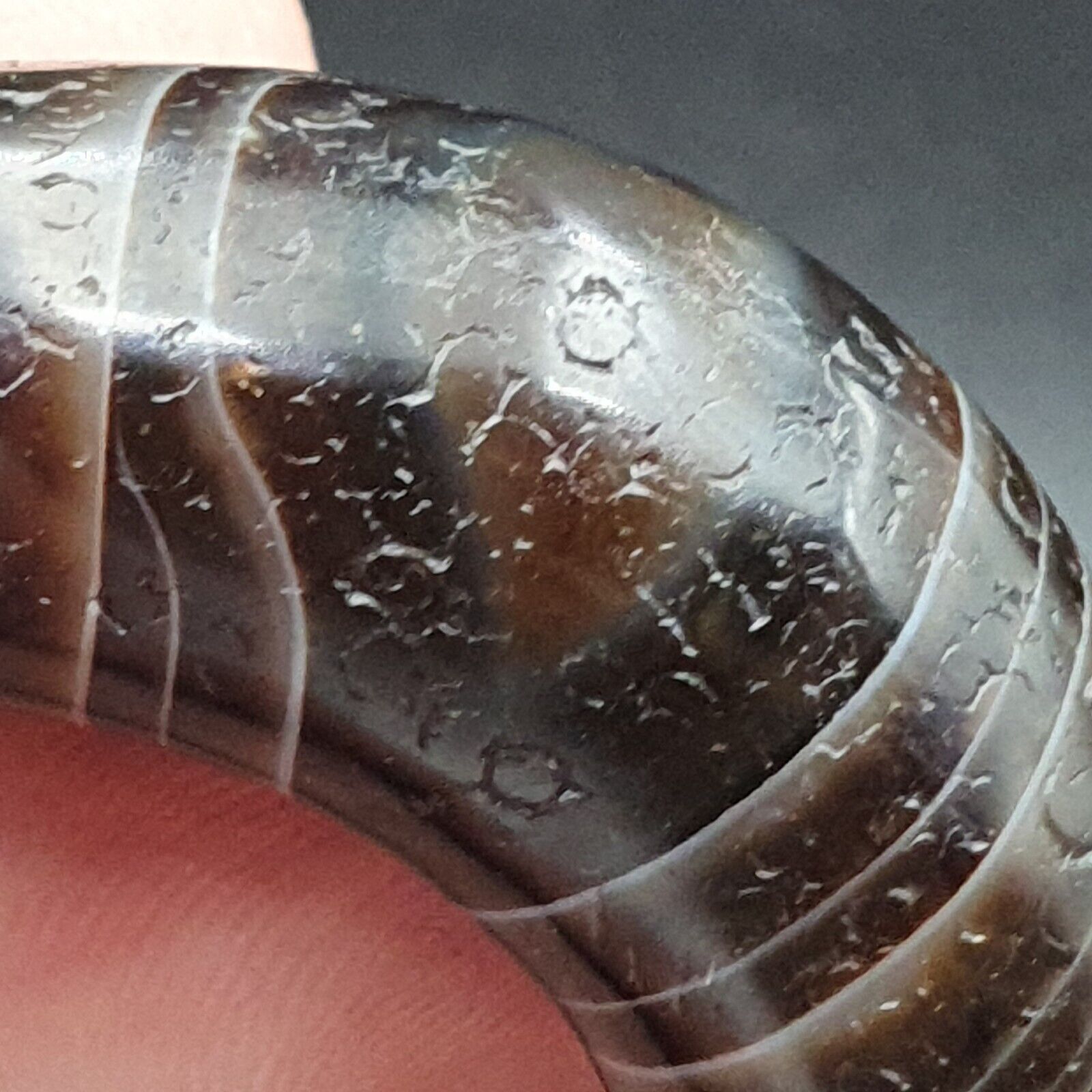 Antique Old Himalayan Indo Tibetan Suleimani Eye Dzi Amulet Bead #1112