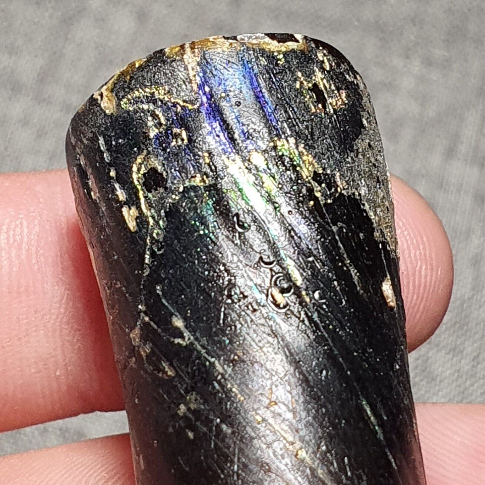 Big Piece Intact Ancient Roman Glass Artifact Circa 1st Century AD with Patina