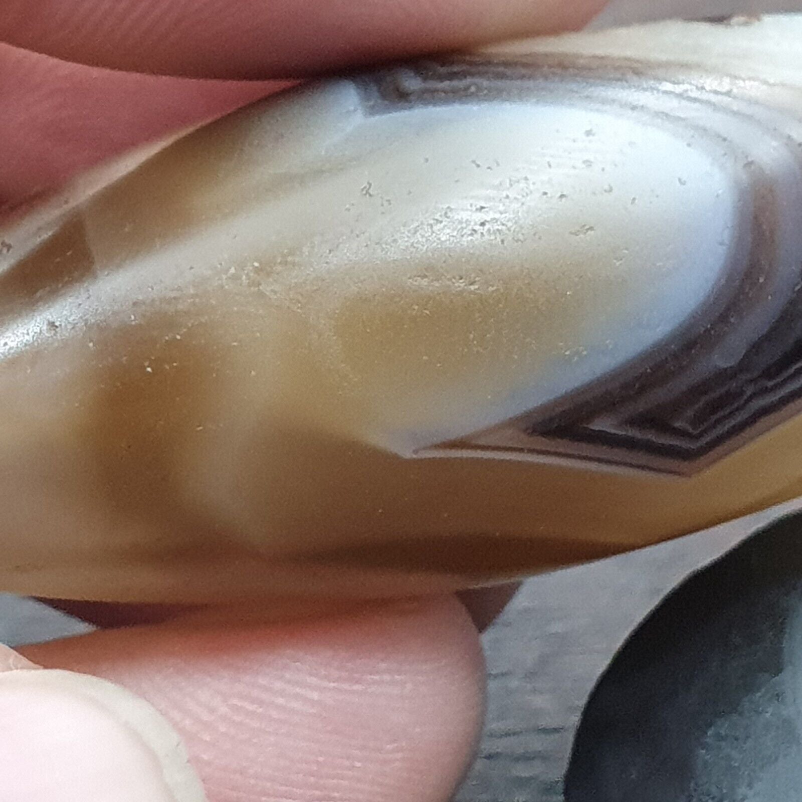 Crystal Eye Agate Old Himalayan Indo Tibetan Nepal Antique Amulet Bead B#367