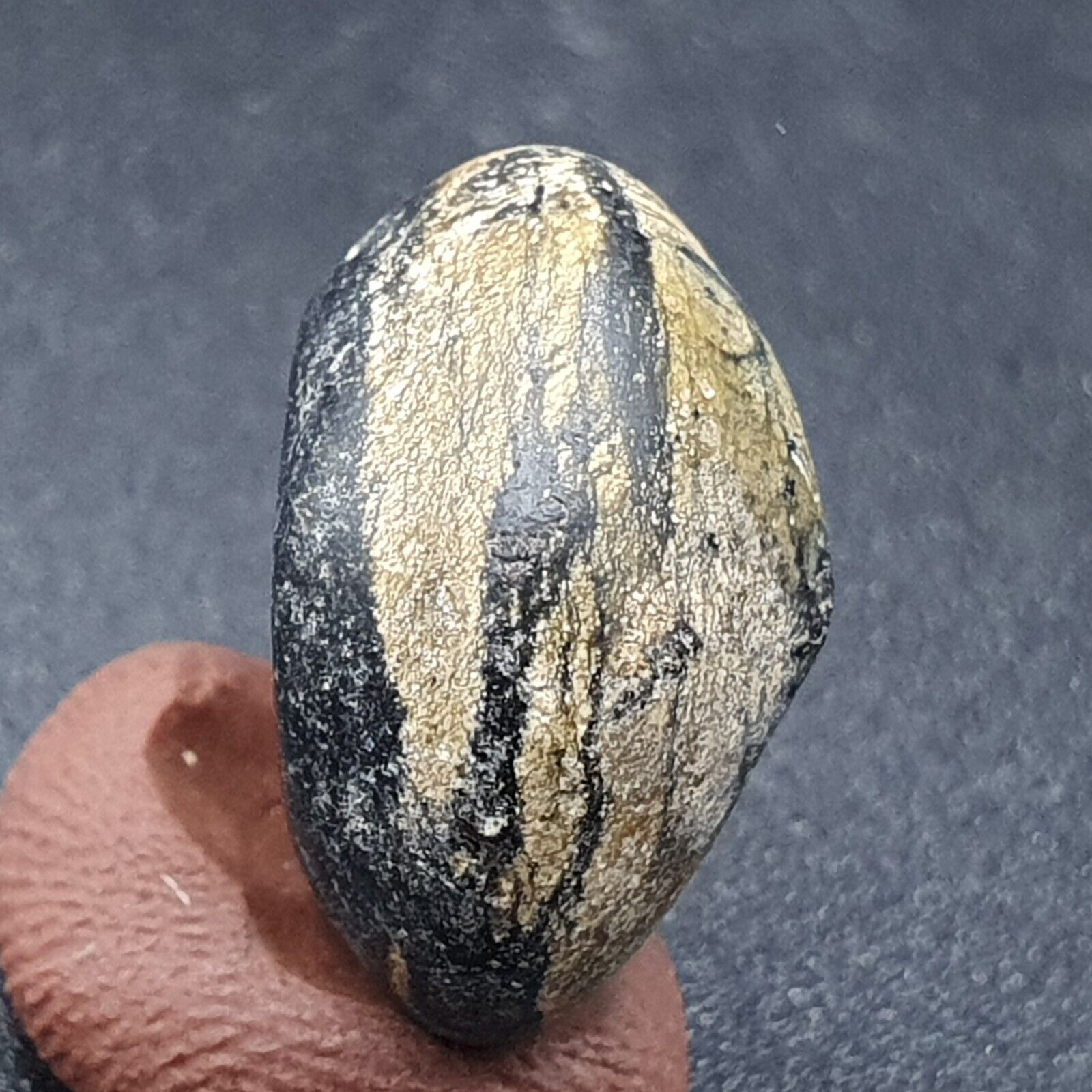Antique Himalayan Jasper Donut Stone bead 17.2mm