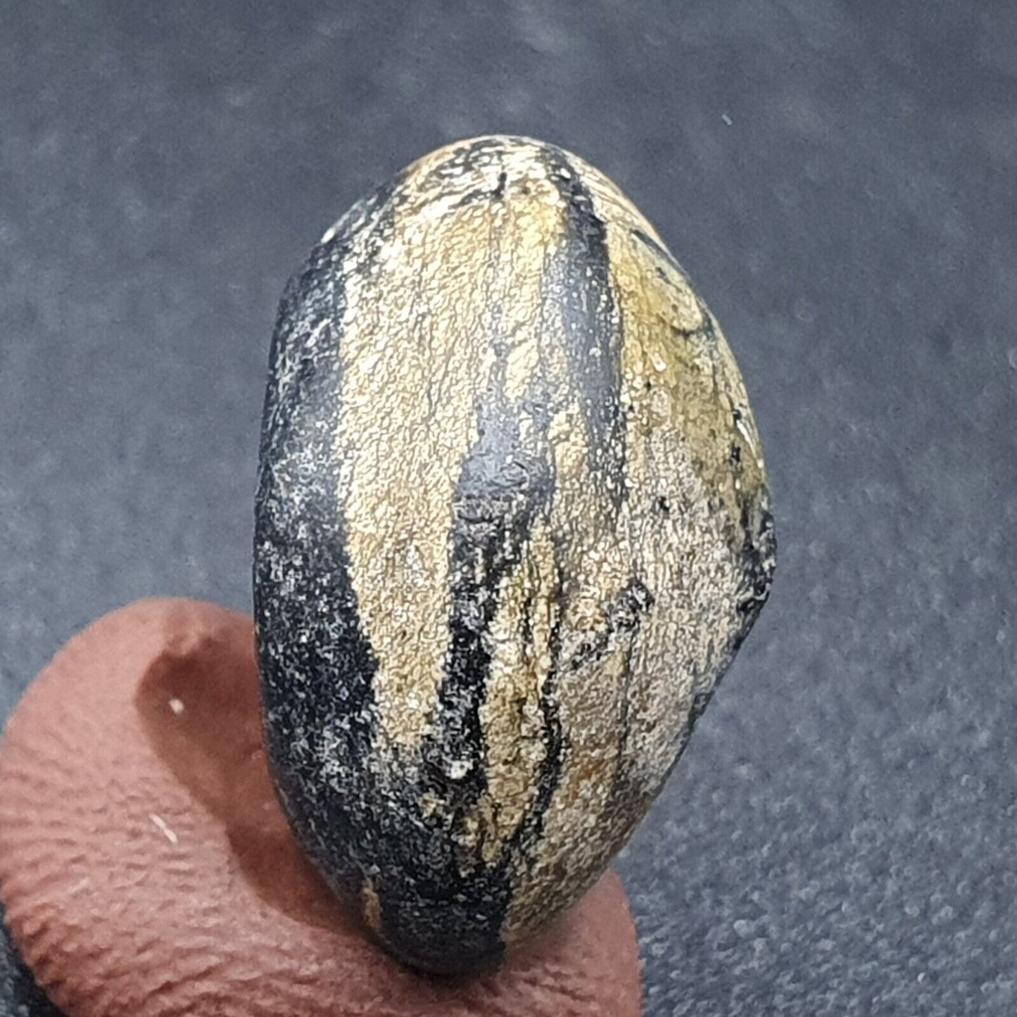 Antike Donut-Steinperle aus Himalaya-Jaspis, 17,2 mm