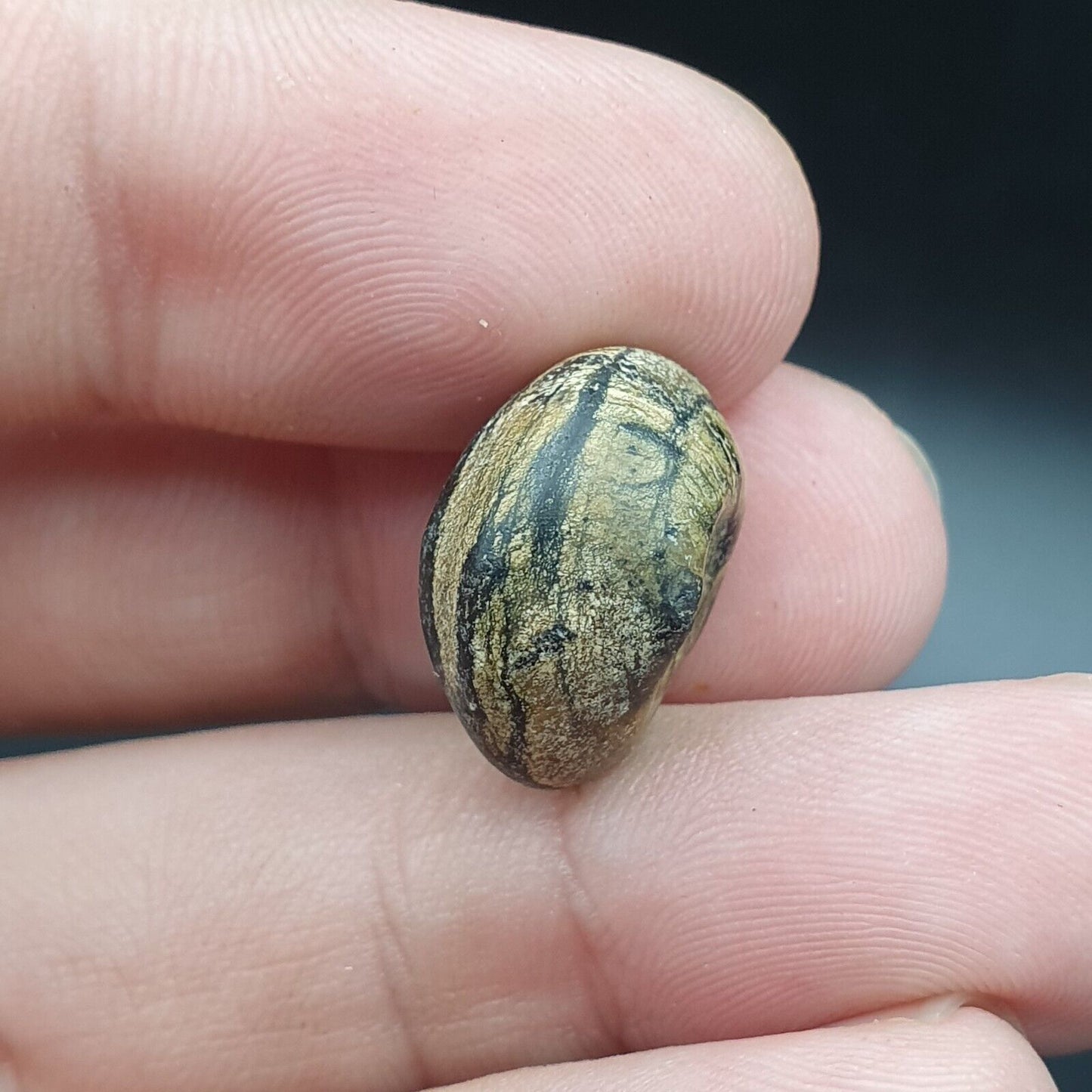 Antike Donut-Steinperle aus Himalaya-Jaspis, 17,2 mm