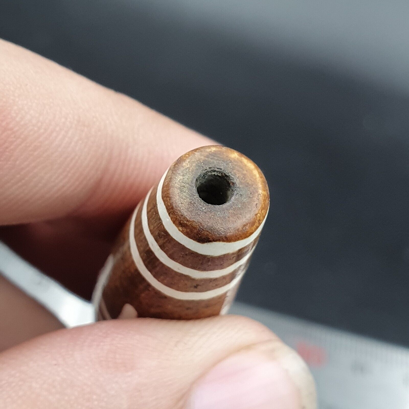 South Asian Burmese 55mm Old Pumtek petrified Wood Bead