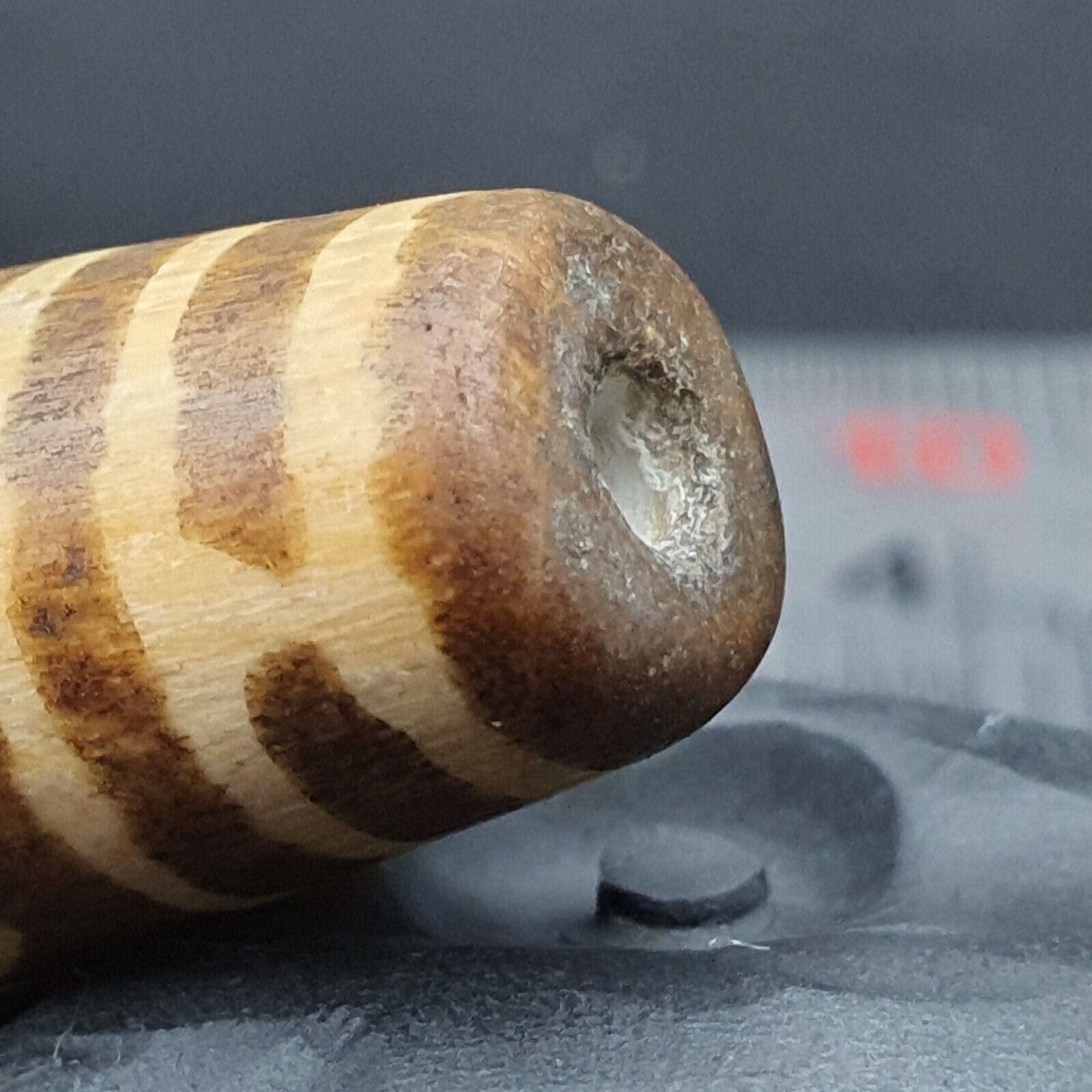 South Asian Burmese 60mm Old Pumtek petrified Wood Bead Beautiful pattern