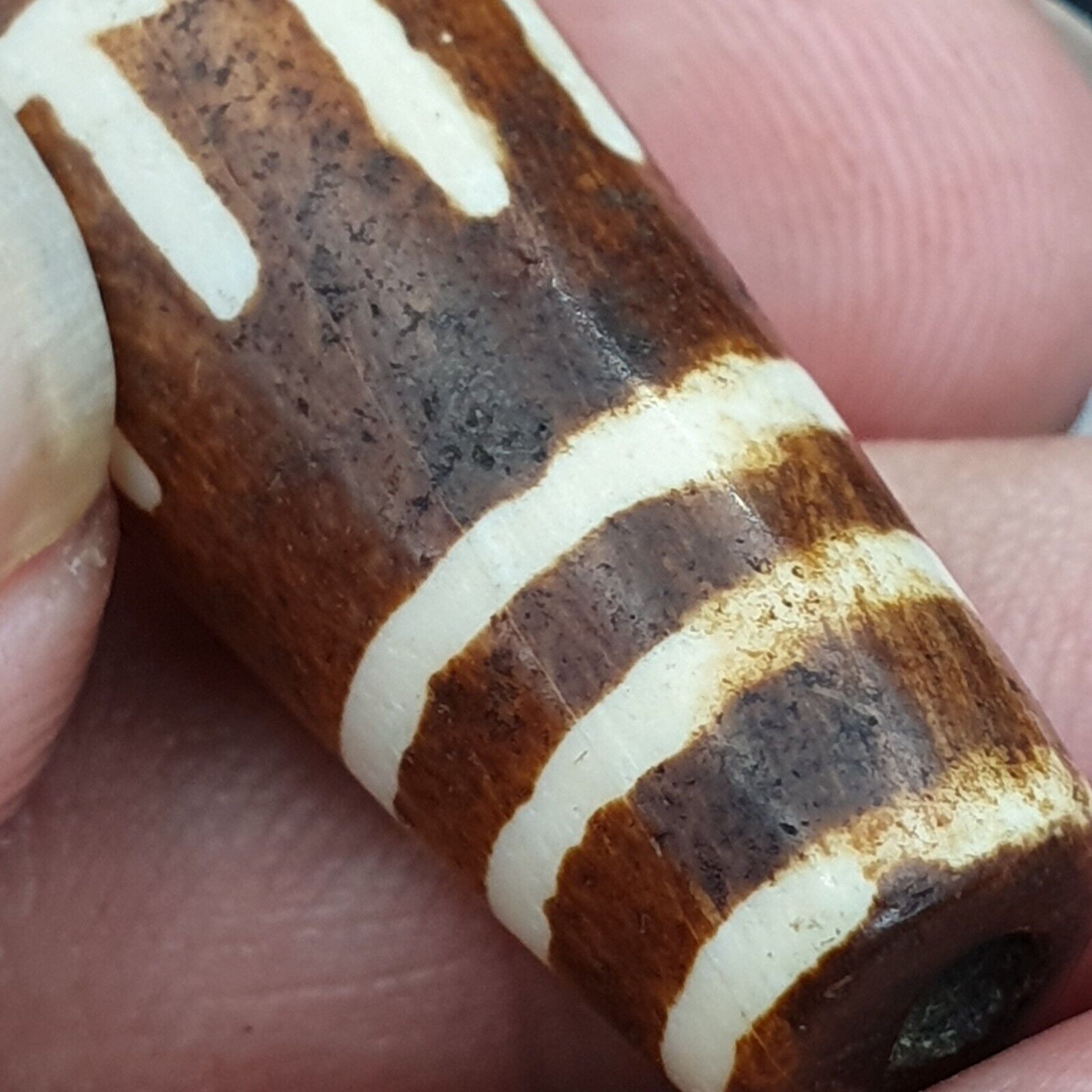 South Asian Burmese 55mm Old Pumtek petrified Wood Bead