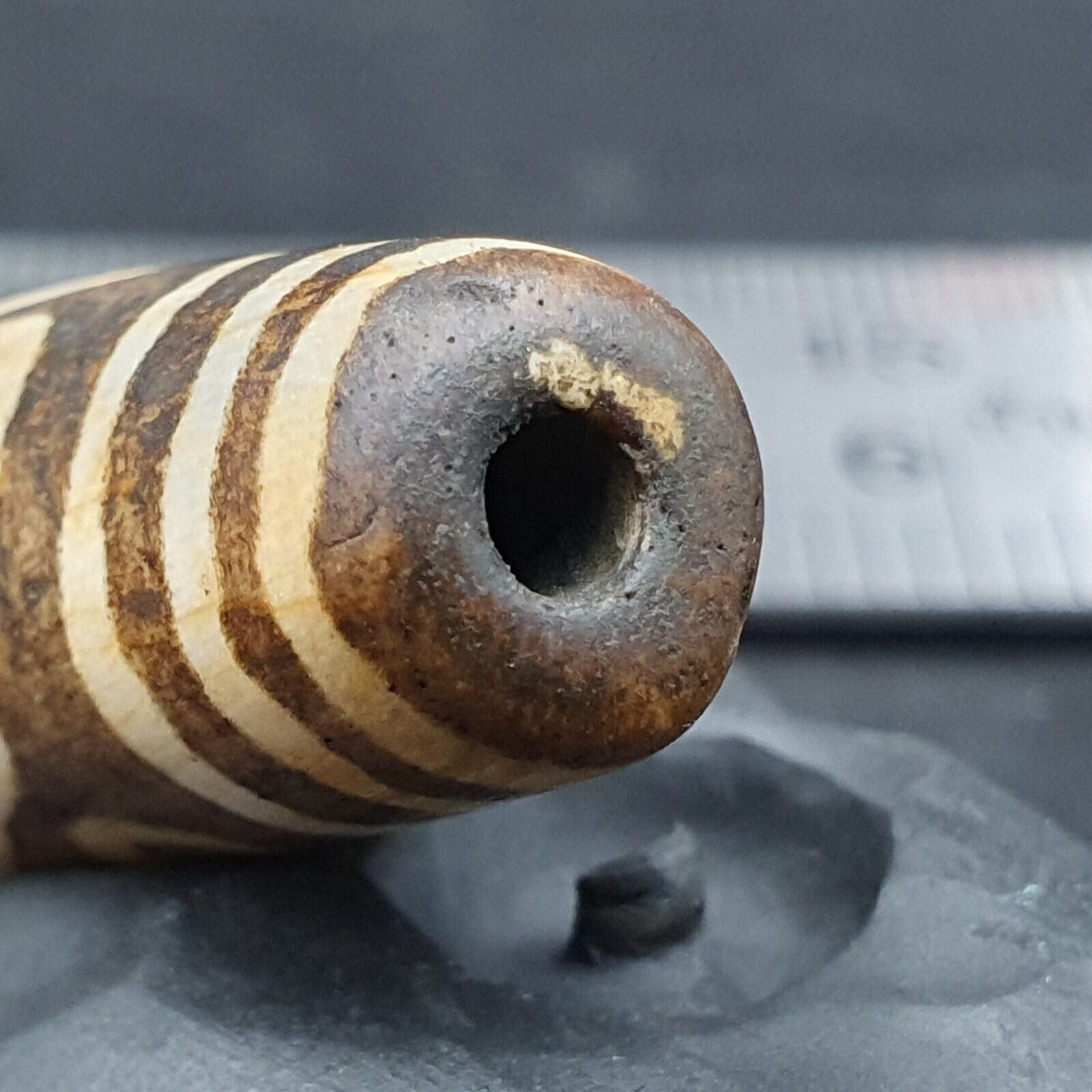 South Asian Burmese 53mm Old 9 eyes Pumtek petrified Wood Bead Unique pattern