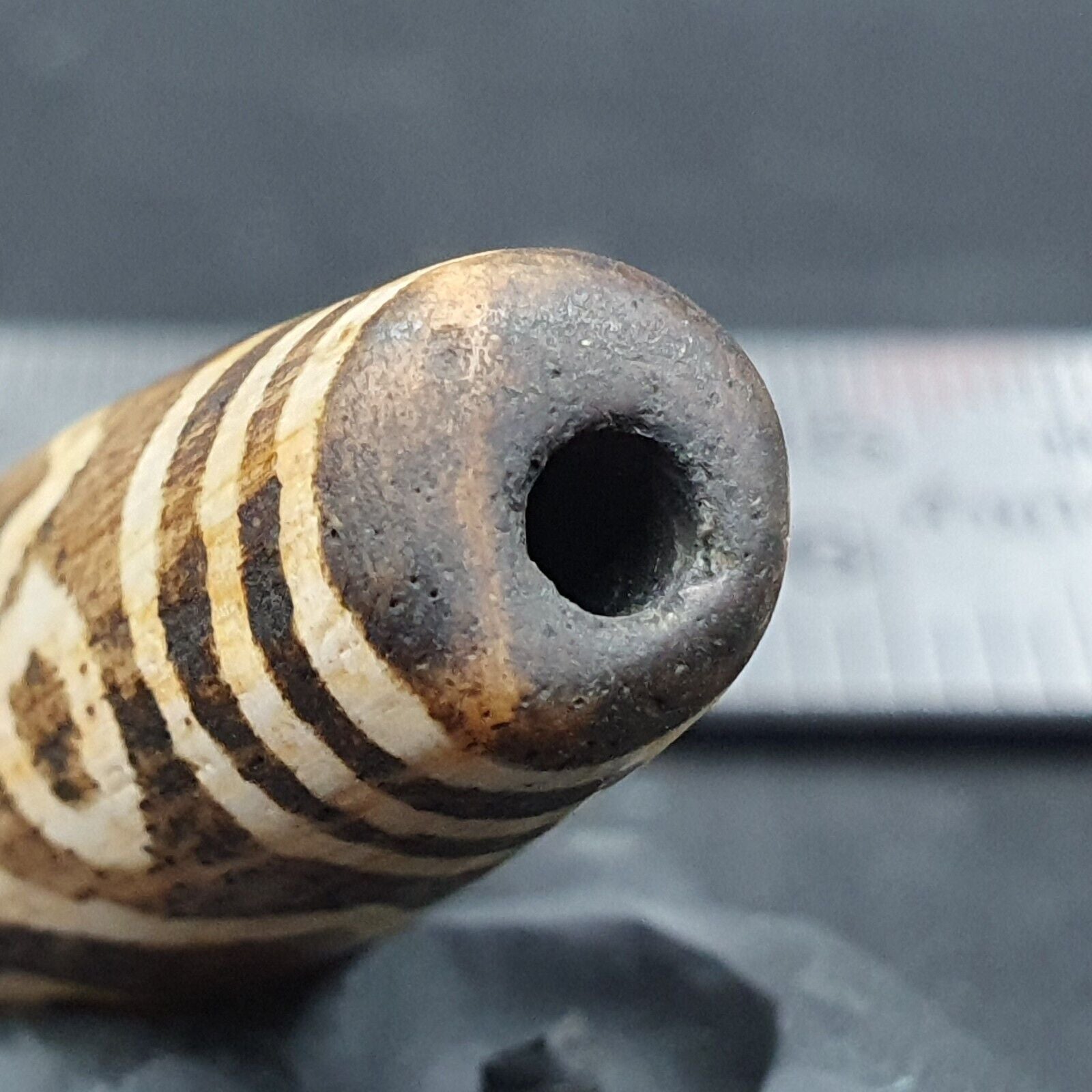 South Asian Burmese 53mm Old 9 eyes Pumtek petrified Wood Bead Unique pattern