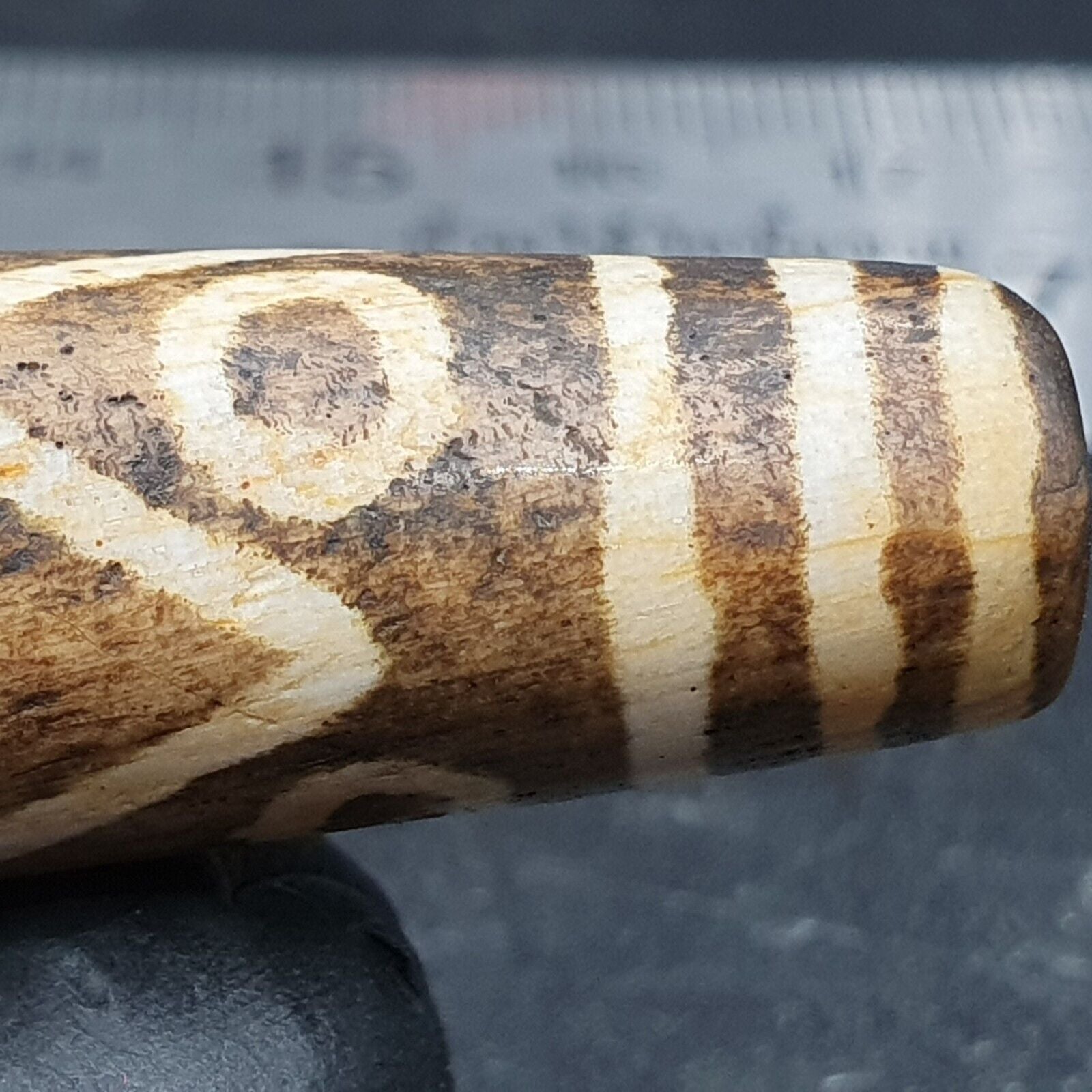 South Asian Burmese 53mm Old 9 eyes Pumtek petrified Wood Bead Unique pattern